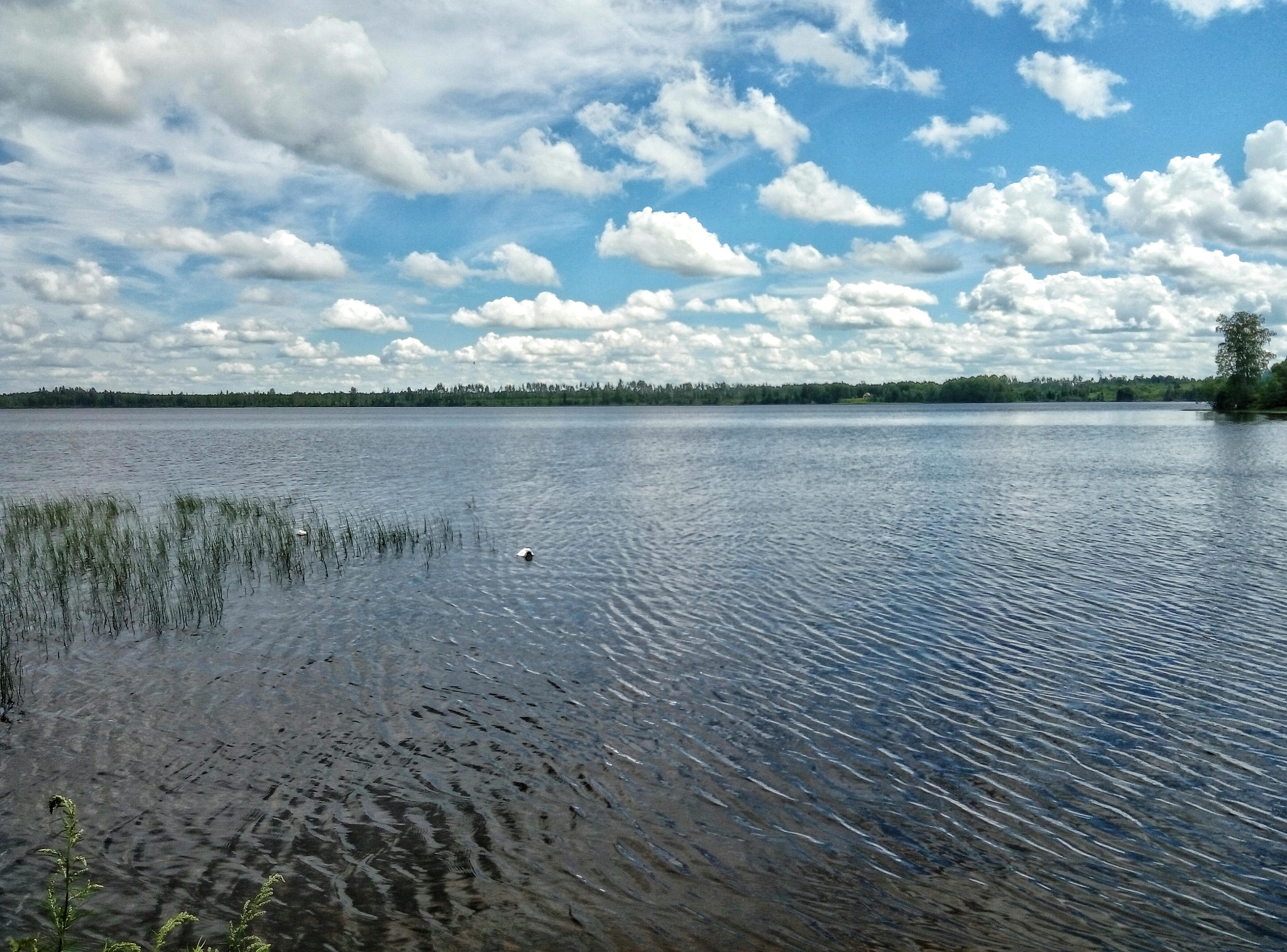 Meizu m2 sample photo