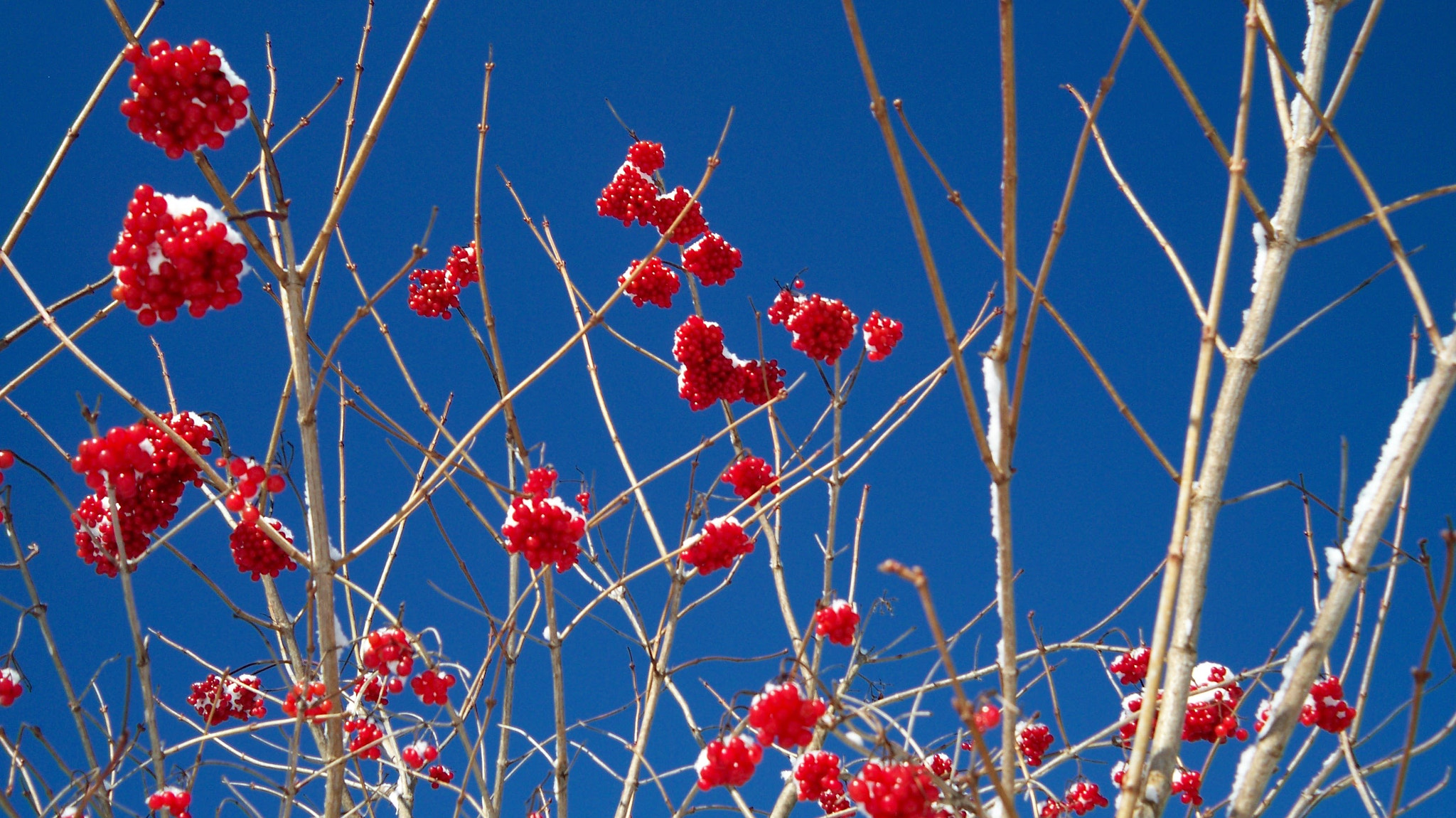 Kodak EASYSHARE V1073 DIGITAL CAMERA sample photo. Au coeur de l'hiver photography