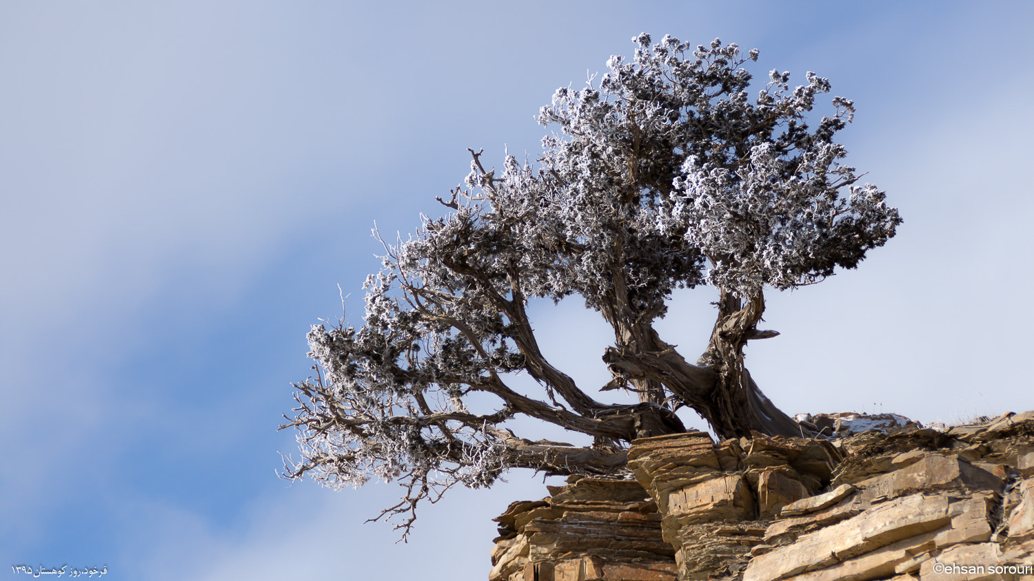 Canon EF 75-300mm F4.0-5.6 IS USM sample photo