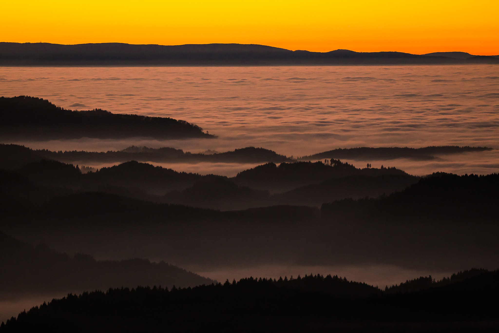 150-600mm F5-6.3 DG OS HSM | Contemporary 015 sample photo. Rhein valley photography