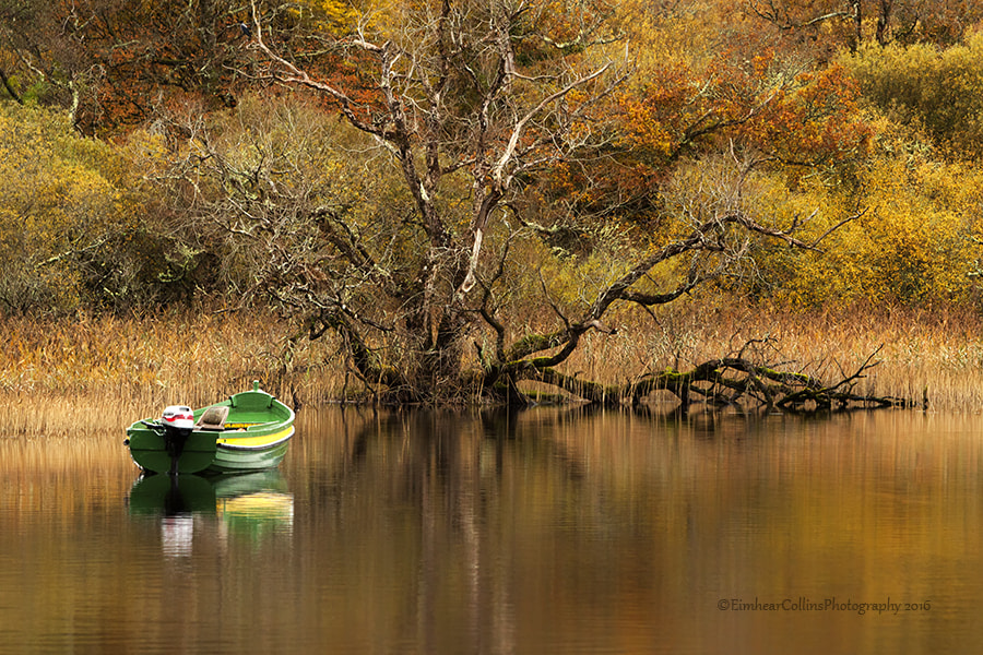 Canon EF 70-200mm F2.8L IS USM sample photo. Reflections photography