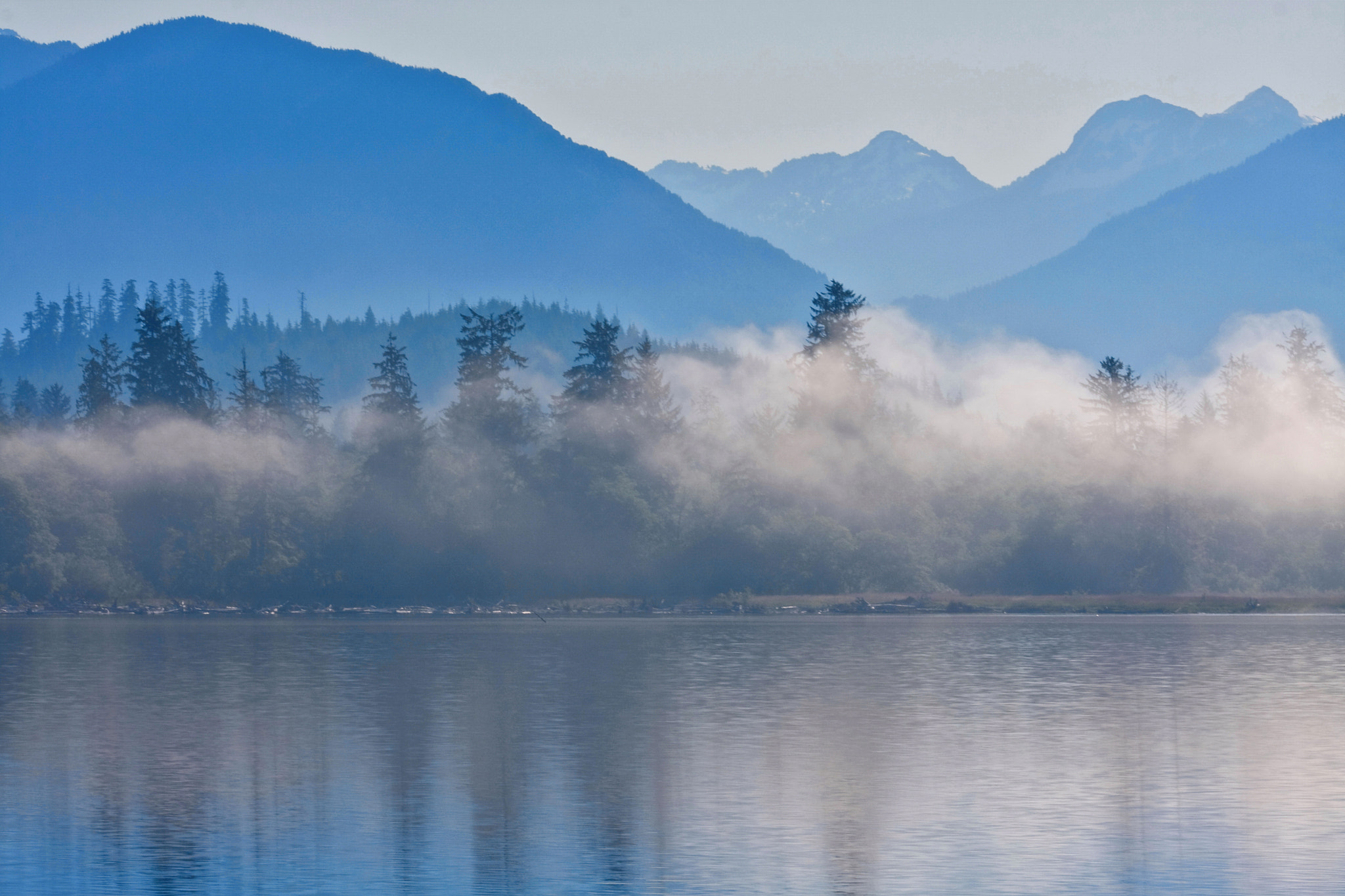 Canon EF 180mm F3.5L Macro USM sample photo. Lake quinault photography