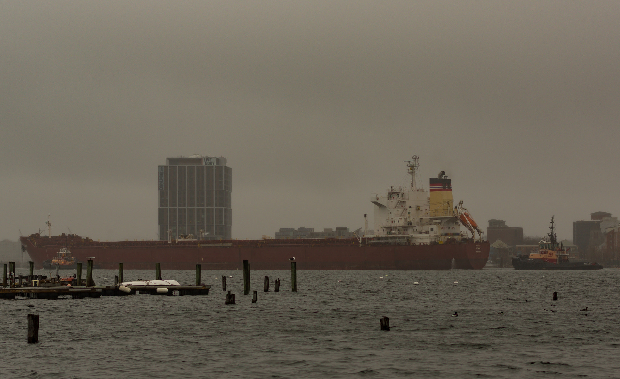 Pentax smc DA* 55mm F1.4 SDM sample photo. Ship and ducks photography