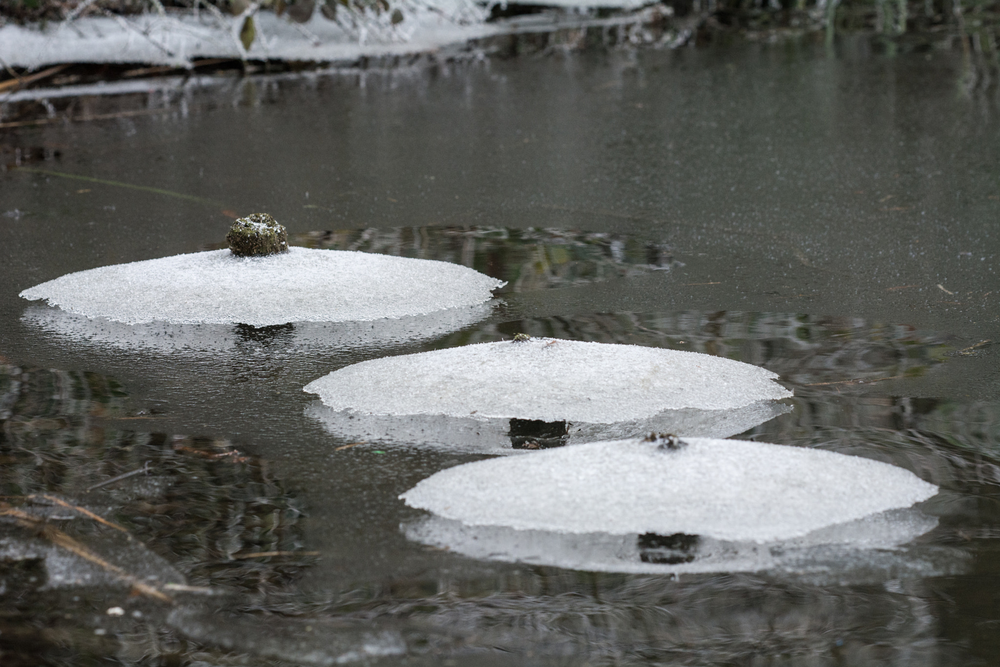 Nikon D7100 + Sigma 150mm F2.8 EX DG Macro HSM sample photo. Ice ufo photography