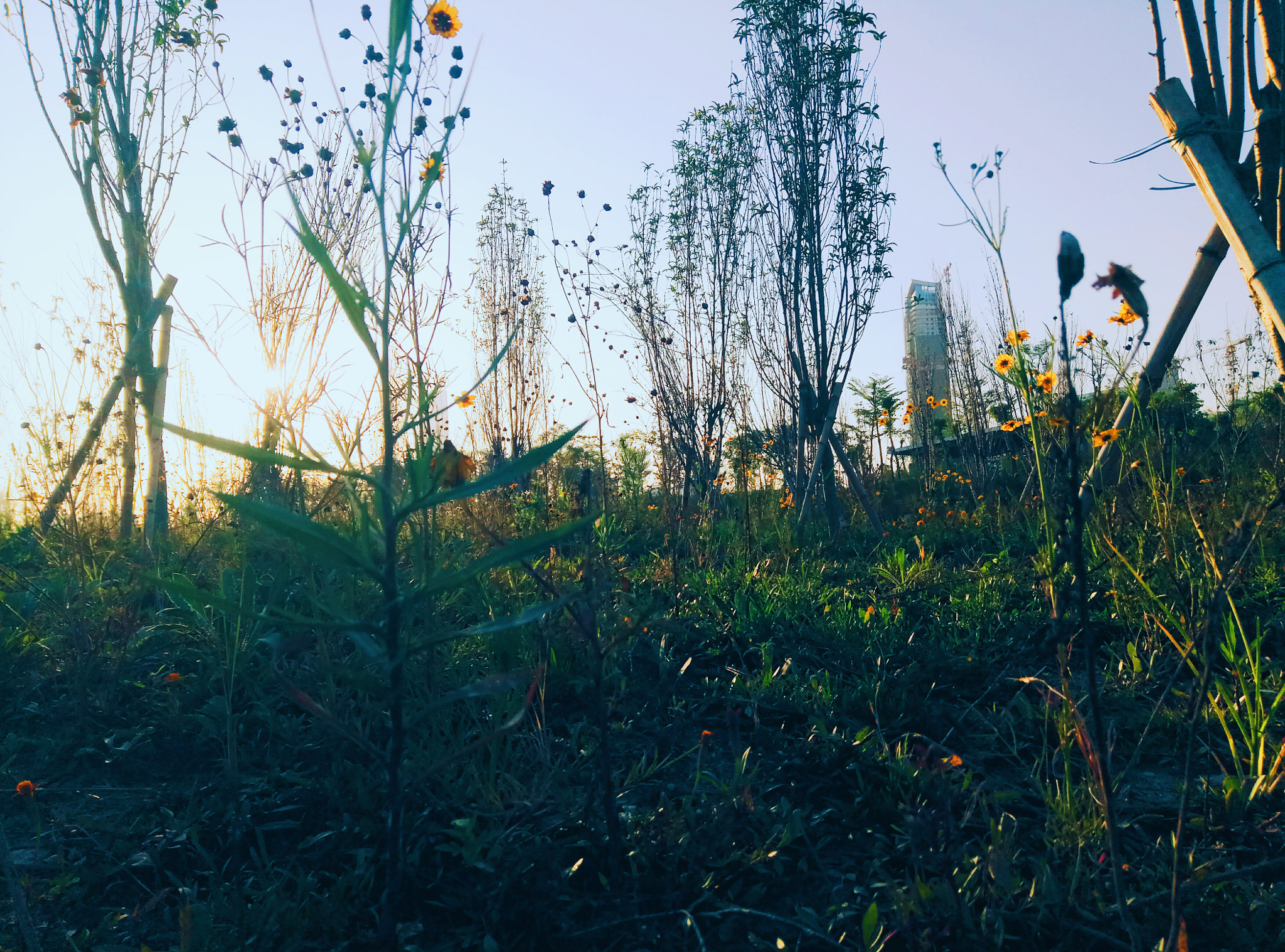 Meizu M3s sample photo. Binshui photography