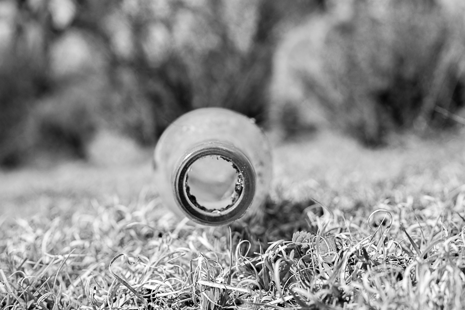 Canon EF 35-80mm f/4-5.6 sample photo. Circulo photography