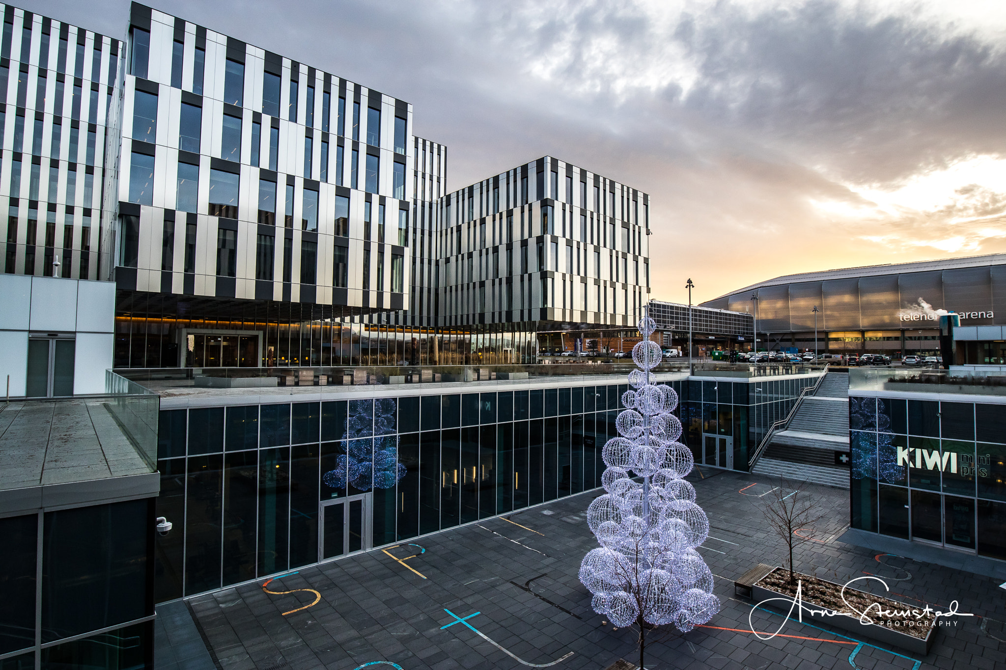 Canon EOS M5 + Canon EF-M 11-22mm F4-5.6 IS STM sample photo. Tree but no snow photography