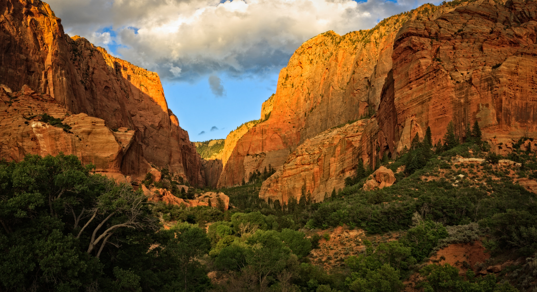Canon EF 28-135mm F3.5-5.6 IS USM sample photo. Kolob finger canyon photography