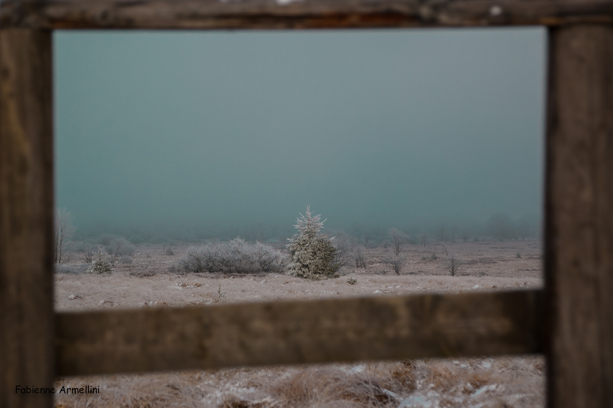 Sigma 28-300mm F3.5-6.3 DG Macro sample photo. A window on belgian winter photography