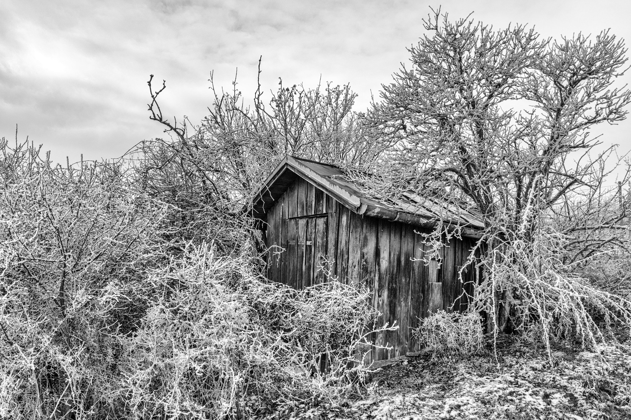 Sony a7 II + ZEISS Batis 25mm F2 sample photo. Little house photography