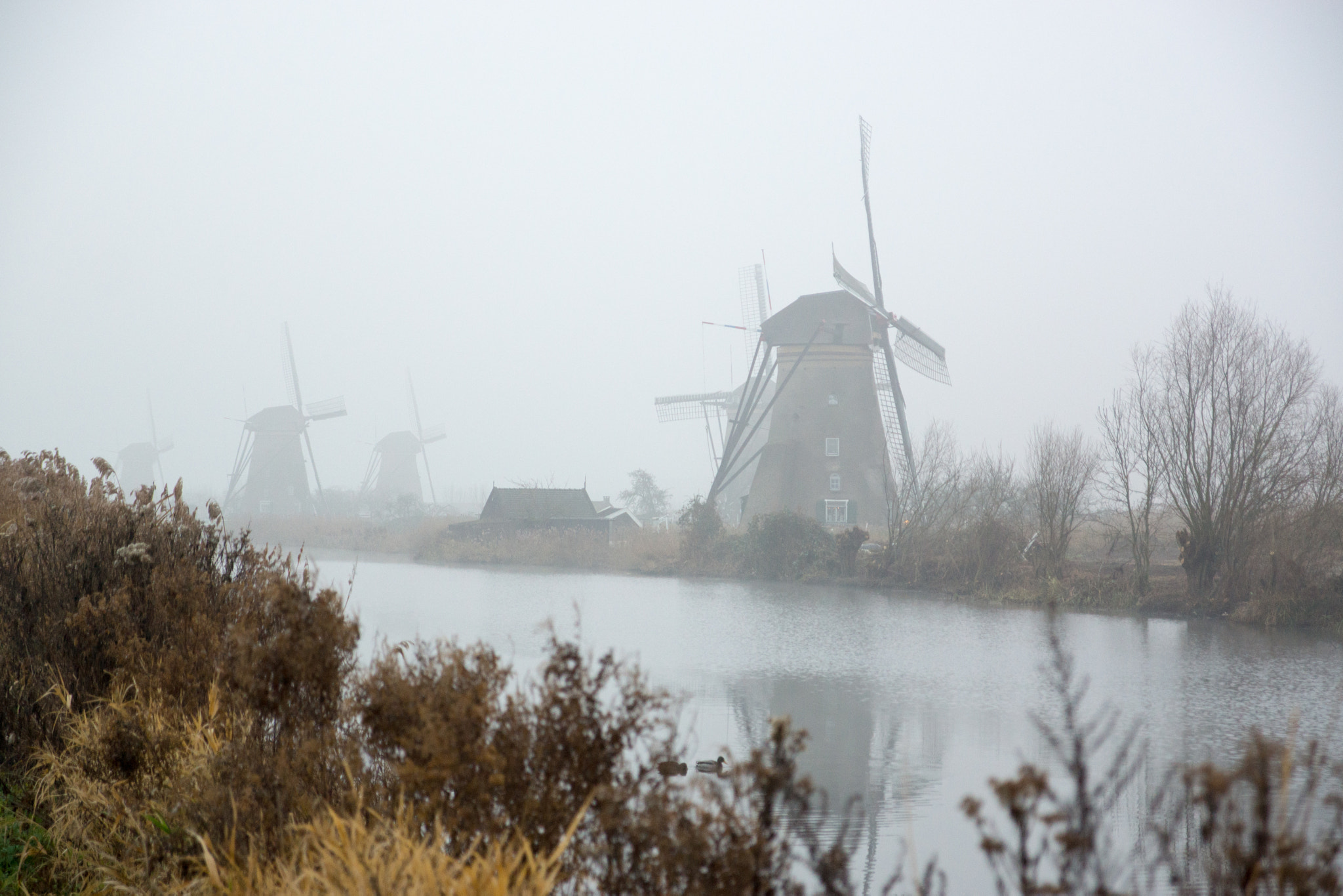 Sony SLT-A77 sample photo. Arjen () photography