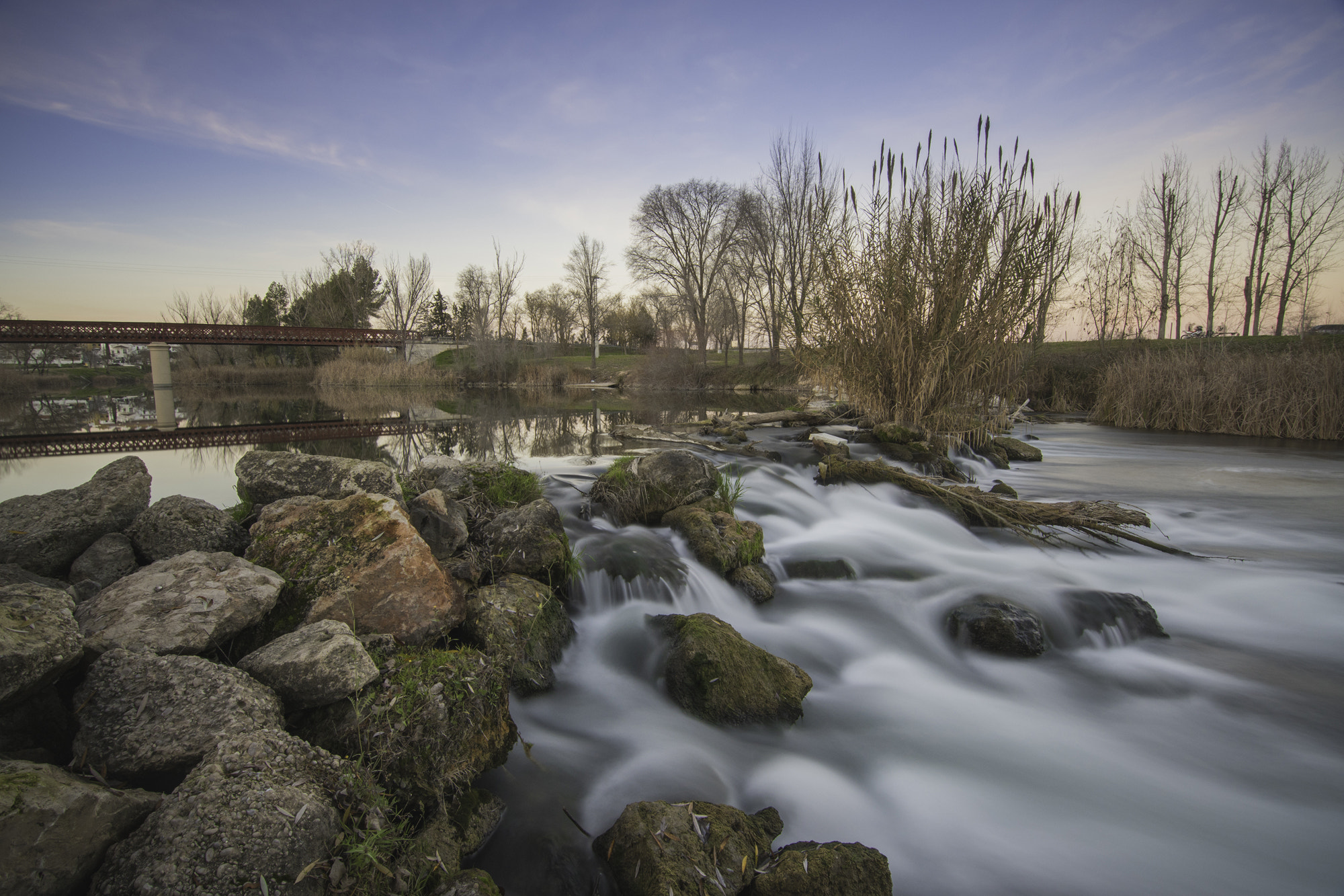 Nikon D500 sample photo. Tajo photography
