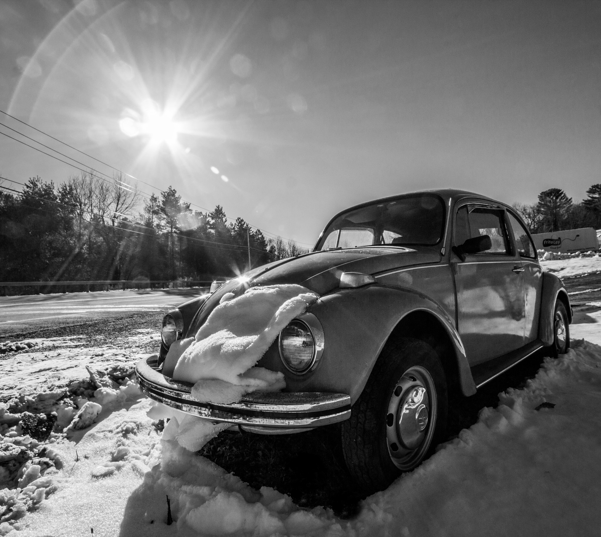 Canon EF-S 10-22mm F3.5-4.5 USM sample photo. Thawing out a bug photography