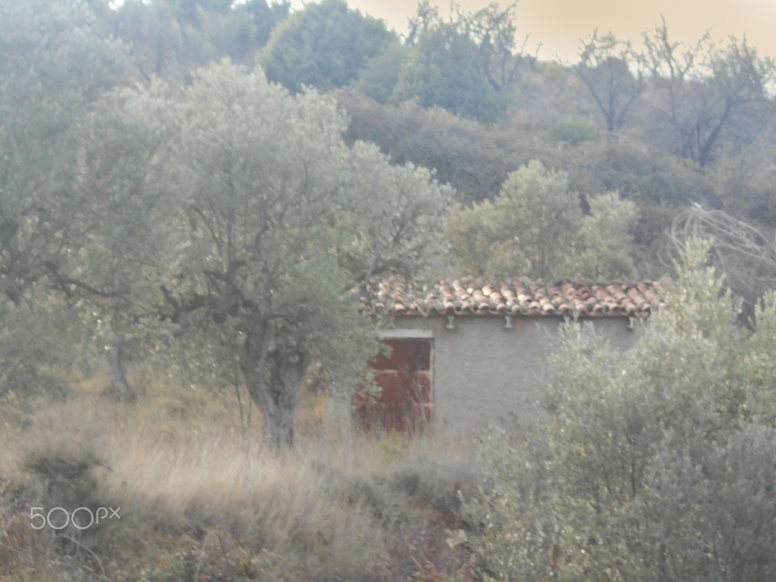 Nikon Coolpix S2900 sample photo. Vida rural photography