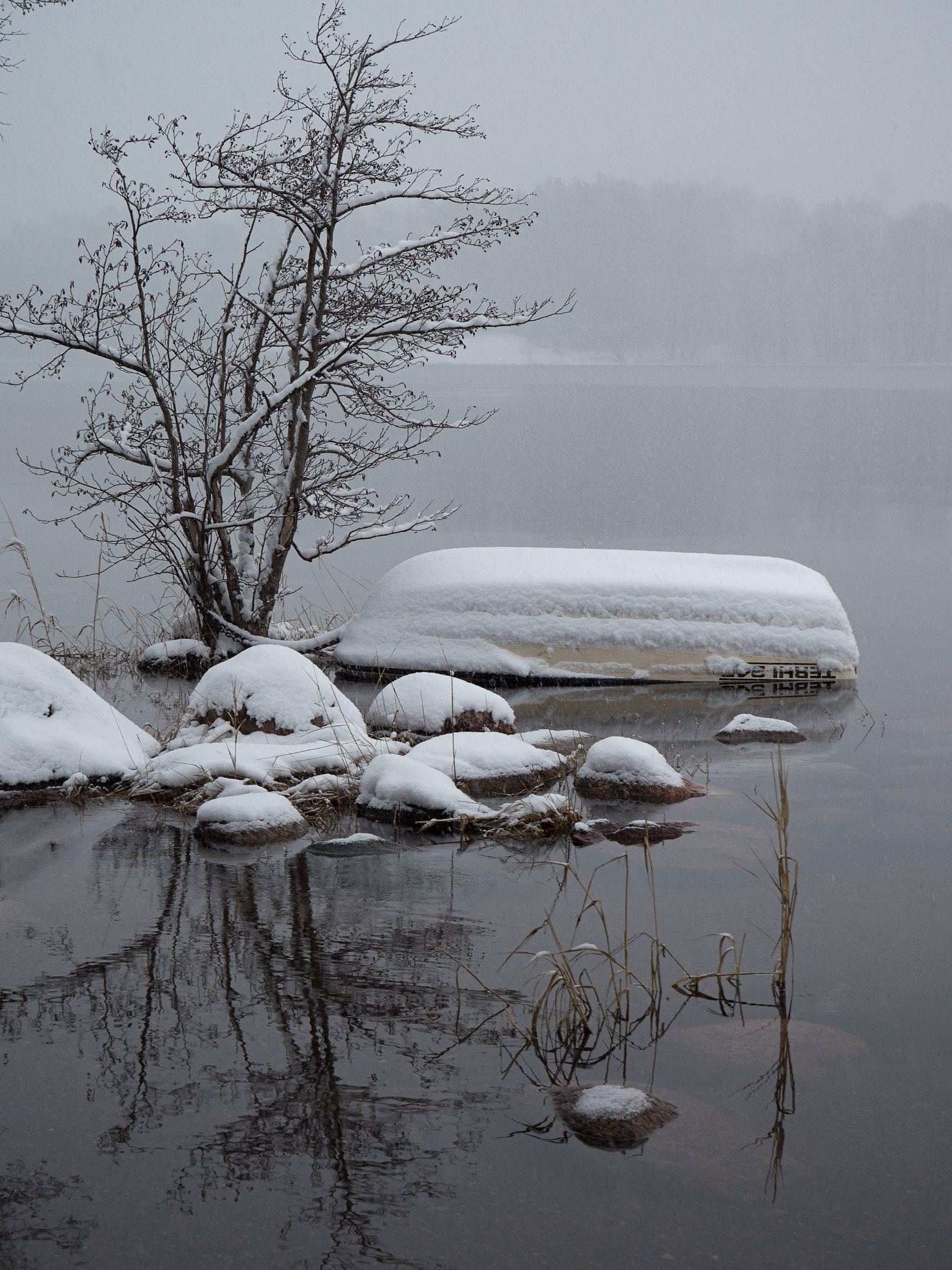 LUMIX G VARIO 12-60/F3.5-5.6 sample photo. Snowing on the coast photography