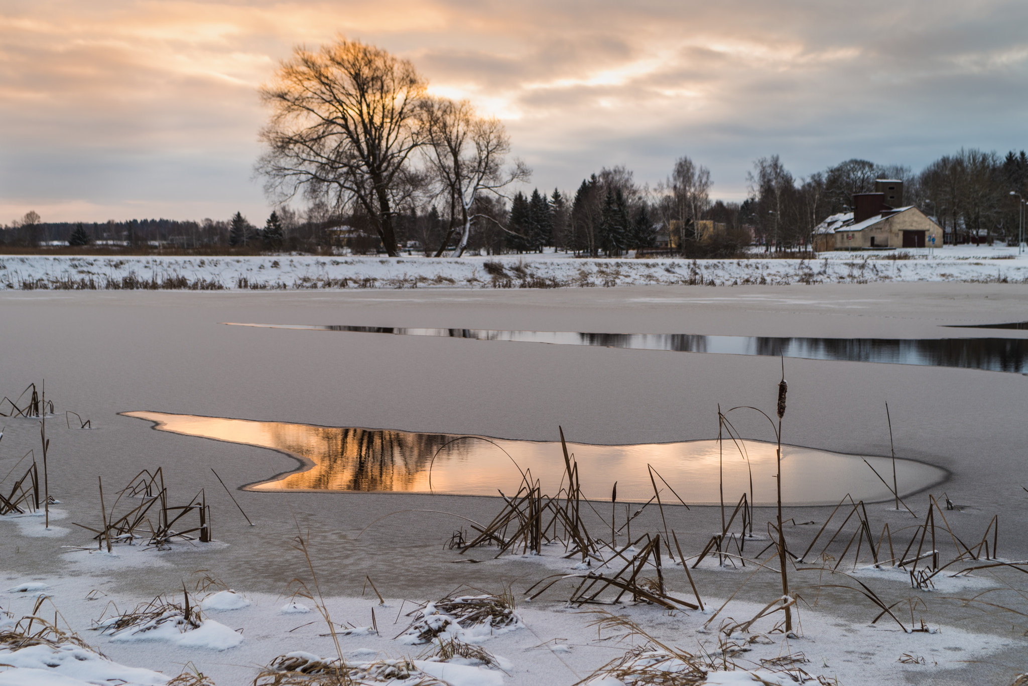 Pentax K-1 + Sigma sample photo. Cold morning photography