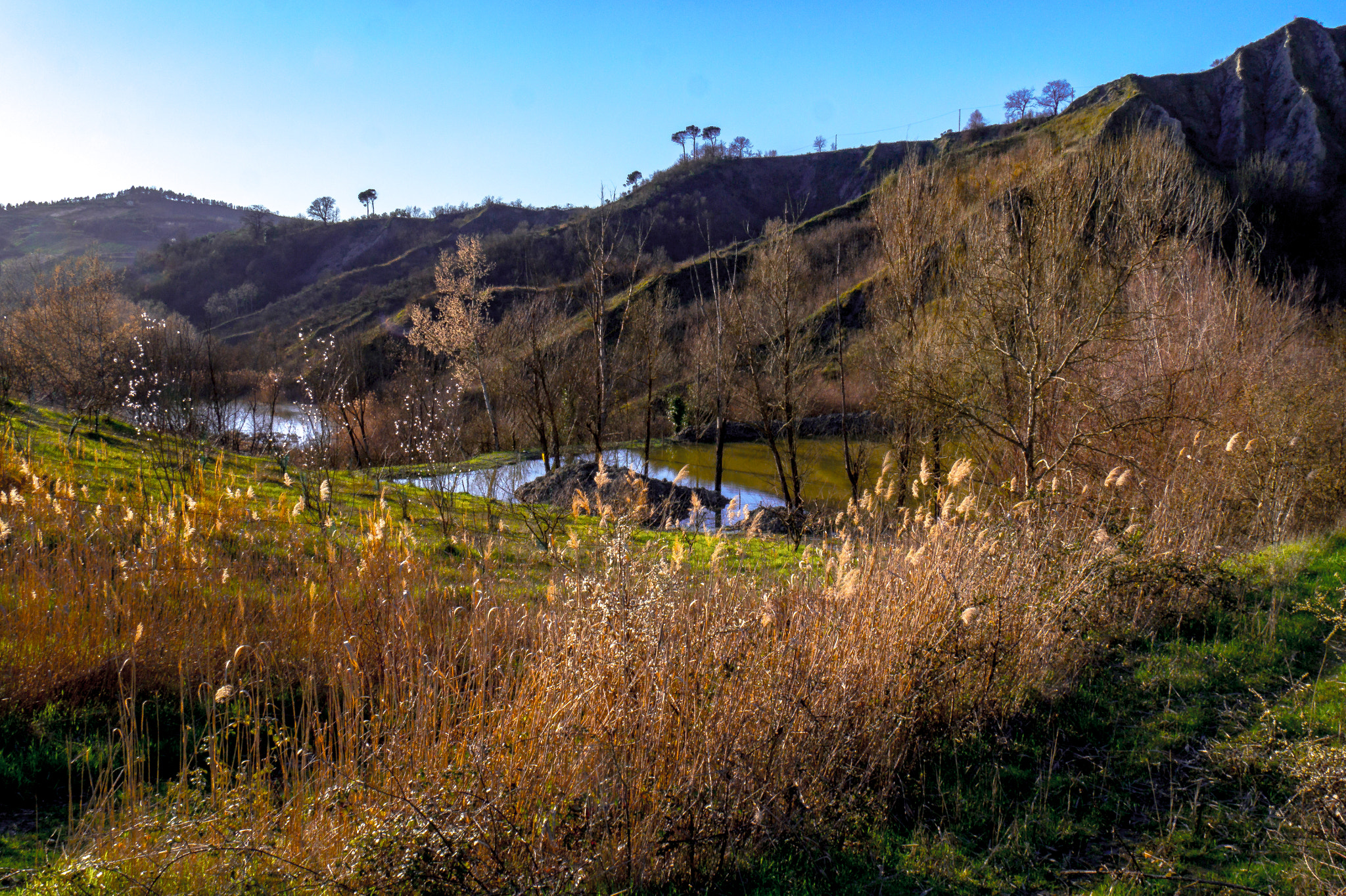 Panasonic Lumix DMC-G6 sample photo. Little lake in early spring photography