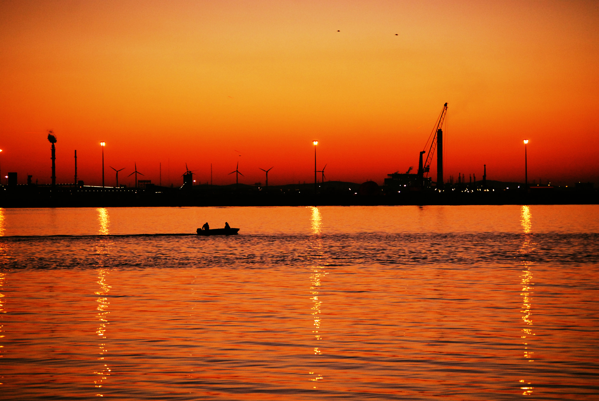 Nikon D40X sample photo. Colorful. photography