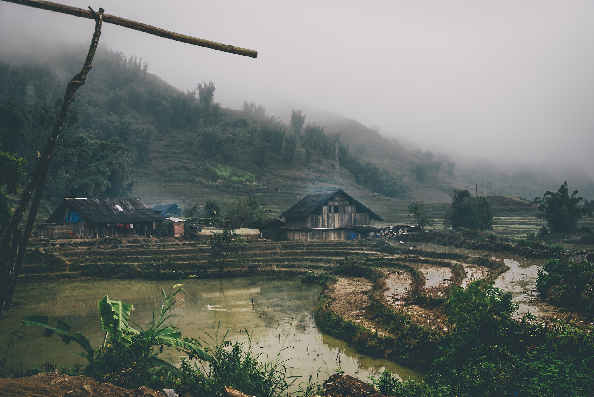 Nikon D80 sample photo. Sapa, lao cai, north-west vietnam photography