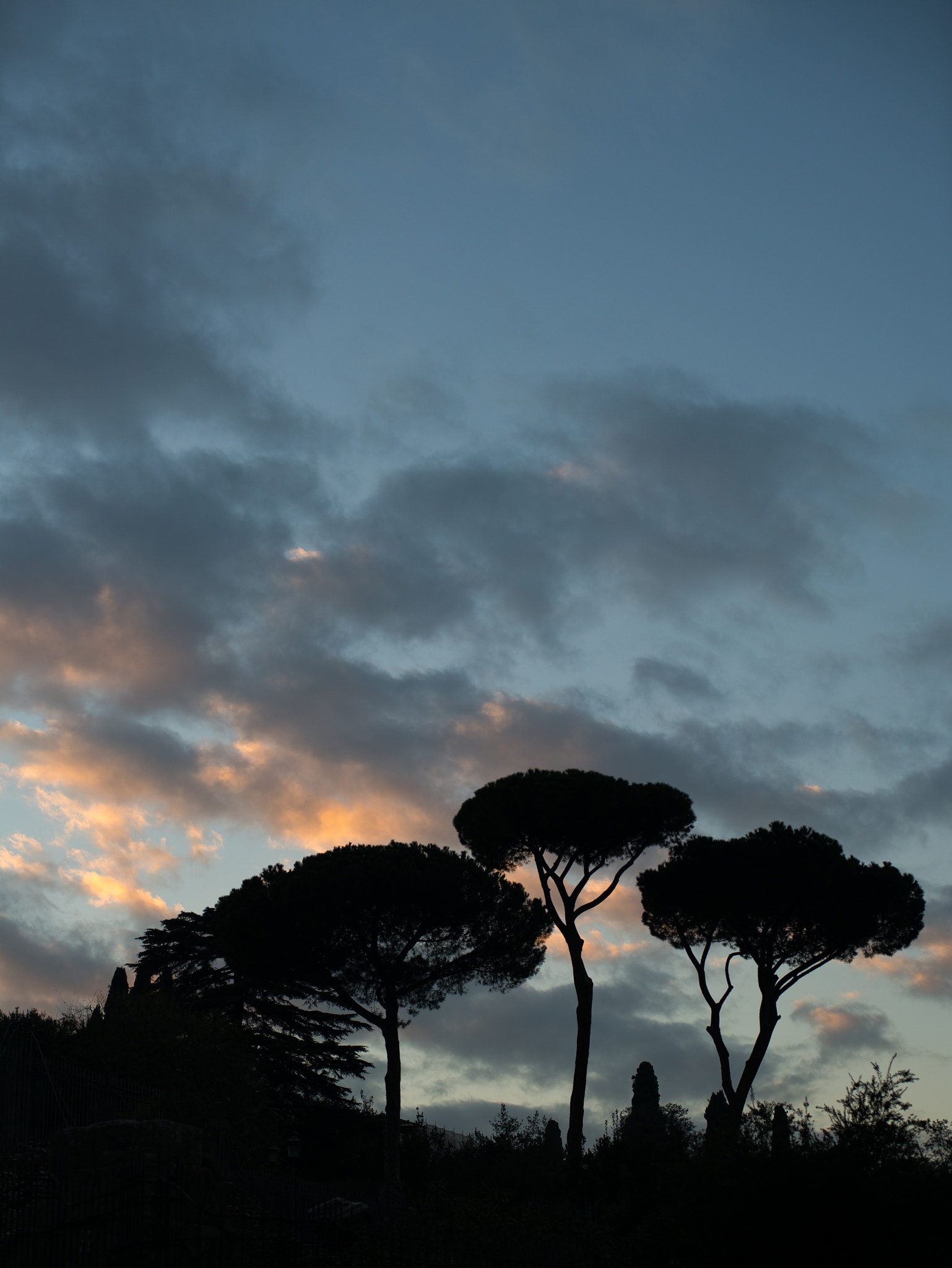 ZEISS Planar T* 50mm F1.4 sample photo. Cloud photography