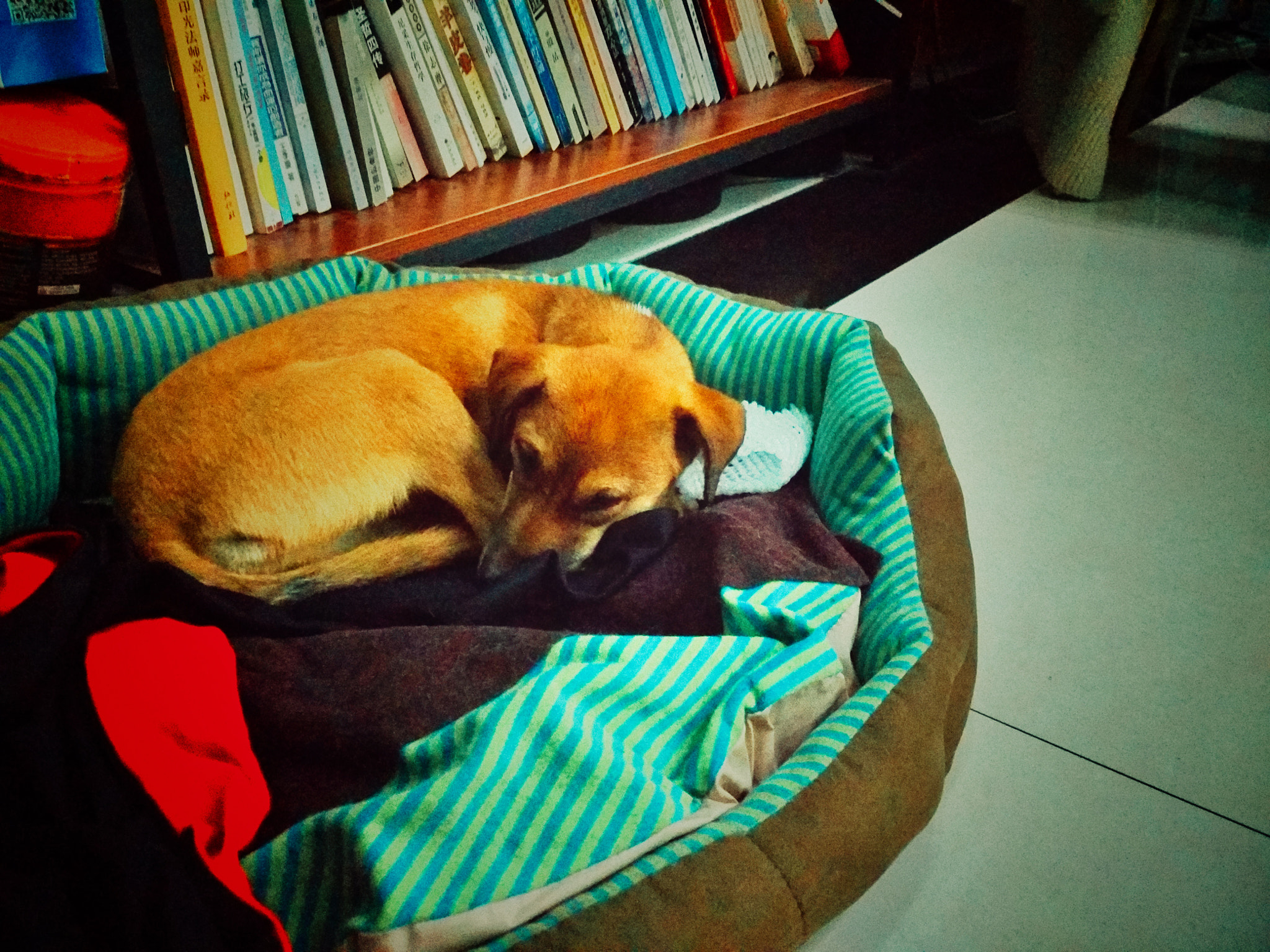 Xiaomi Mi-4c sample photo