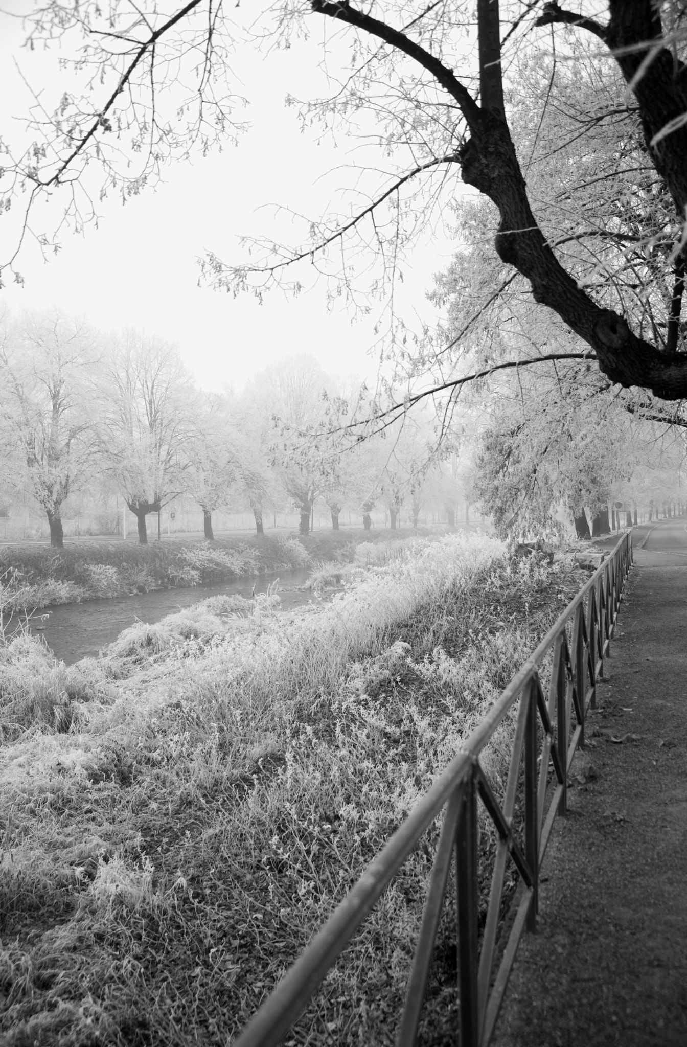 Sony a99 II + 24-105mm F4 sample photo. Winter in alsace #2 turckheim, france photography