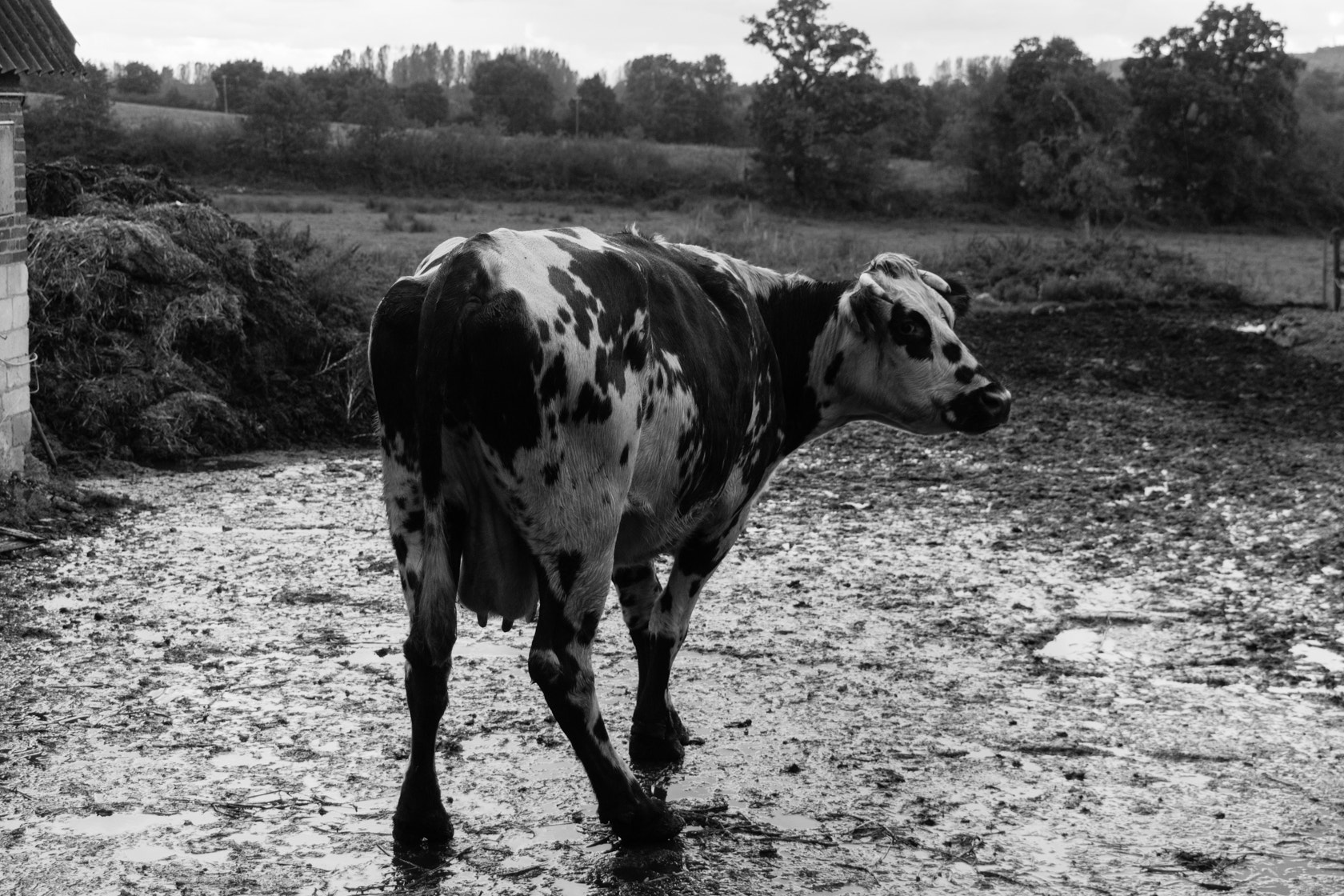 Sony E 18-200mm F3.5-6.3 OSS sample photo. Old farm, normandy, france photography