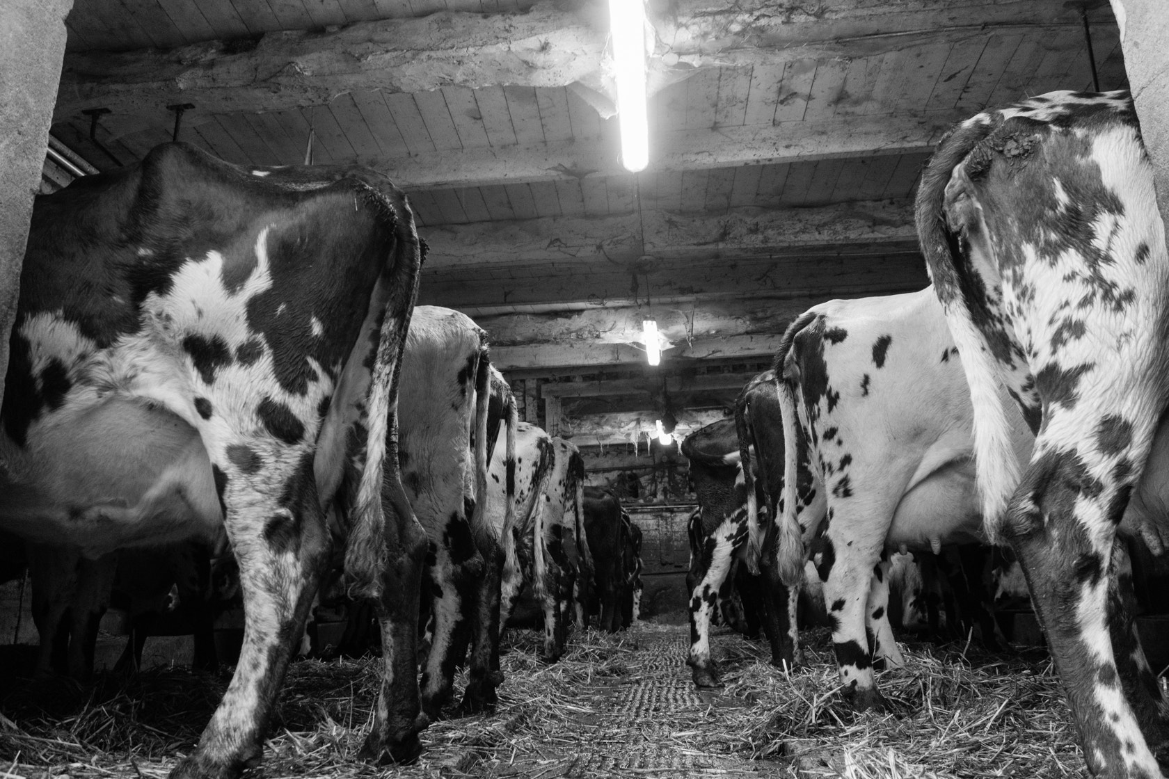 Sony E 18-200mm F3.5-6.3 OSS sample photo. Old farm, normandy, france photography