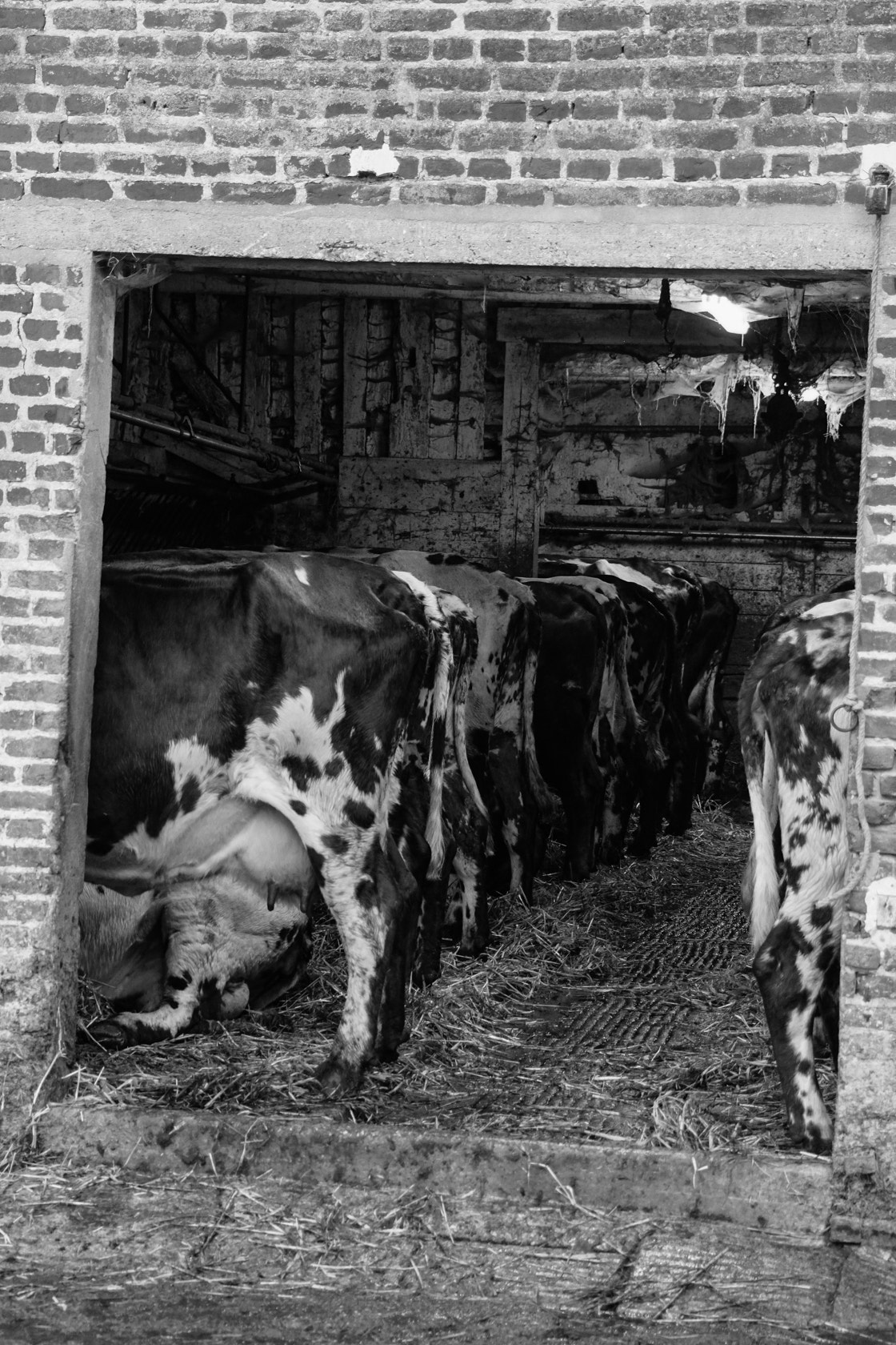 Sony E 18-200mm F3.5-6.3 OSS sample photo. Old farm, normandy, france photography