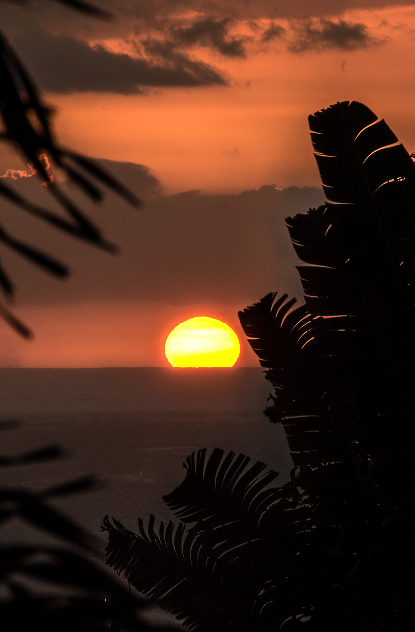 Nikon D3200 sample photo. Sunset masquerade  photography
