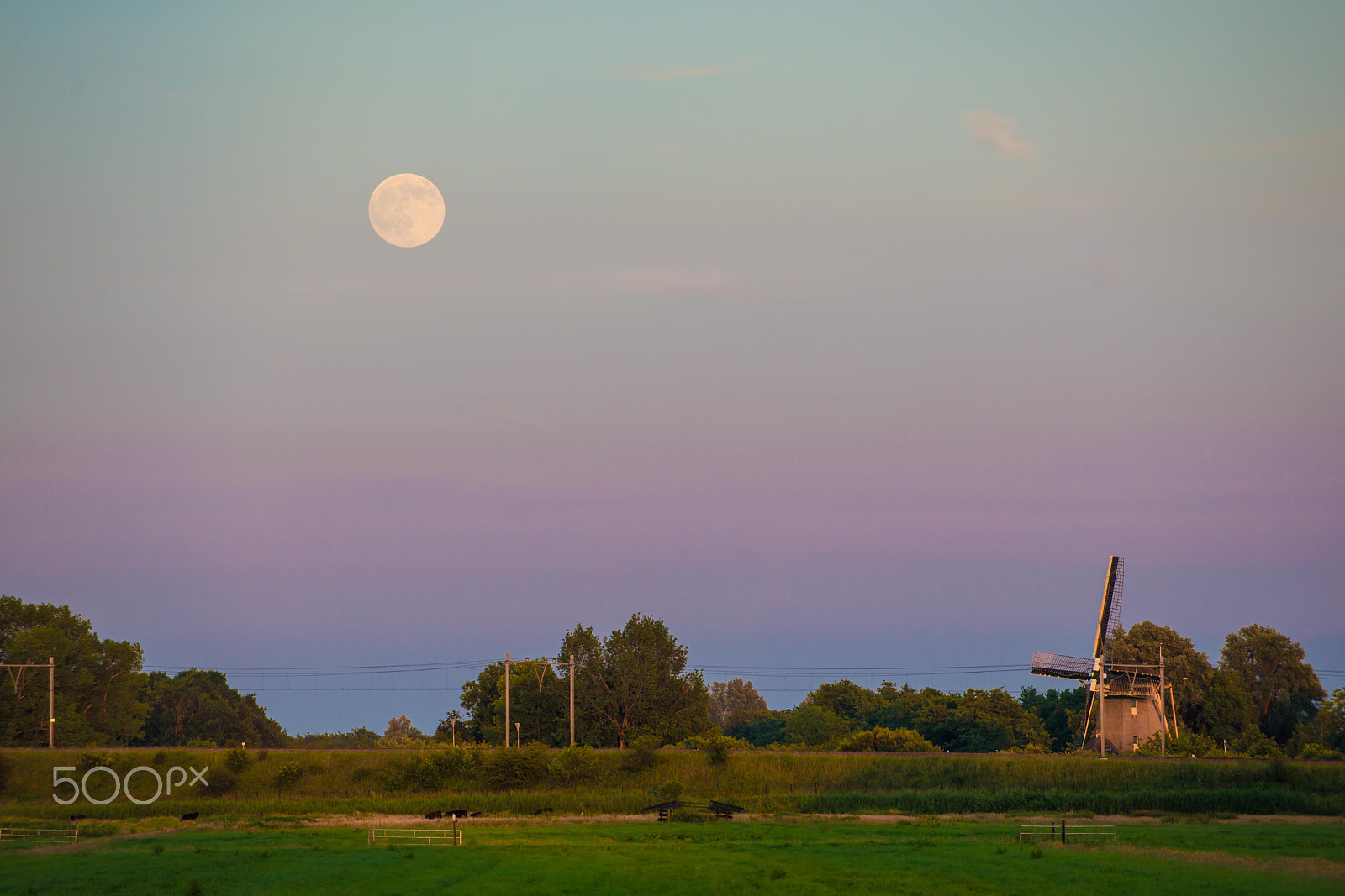 Nikon D600 sample photo. Low moon photography