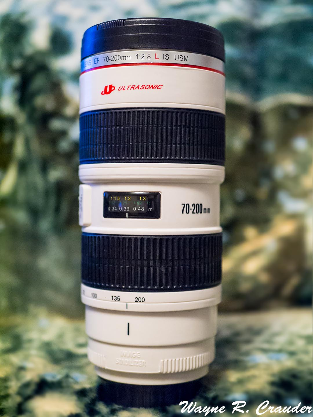 Panasonic Lumix DMC-GF5 + LUMIX G 25/F1.7 sample photo. Cup jan photography