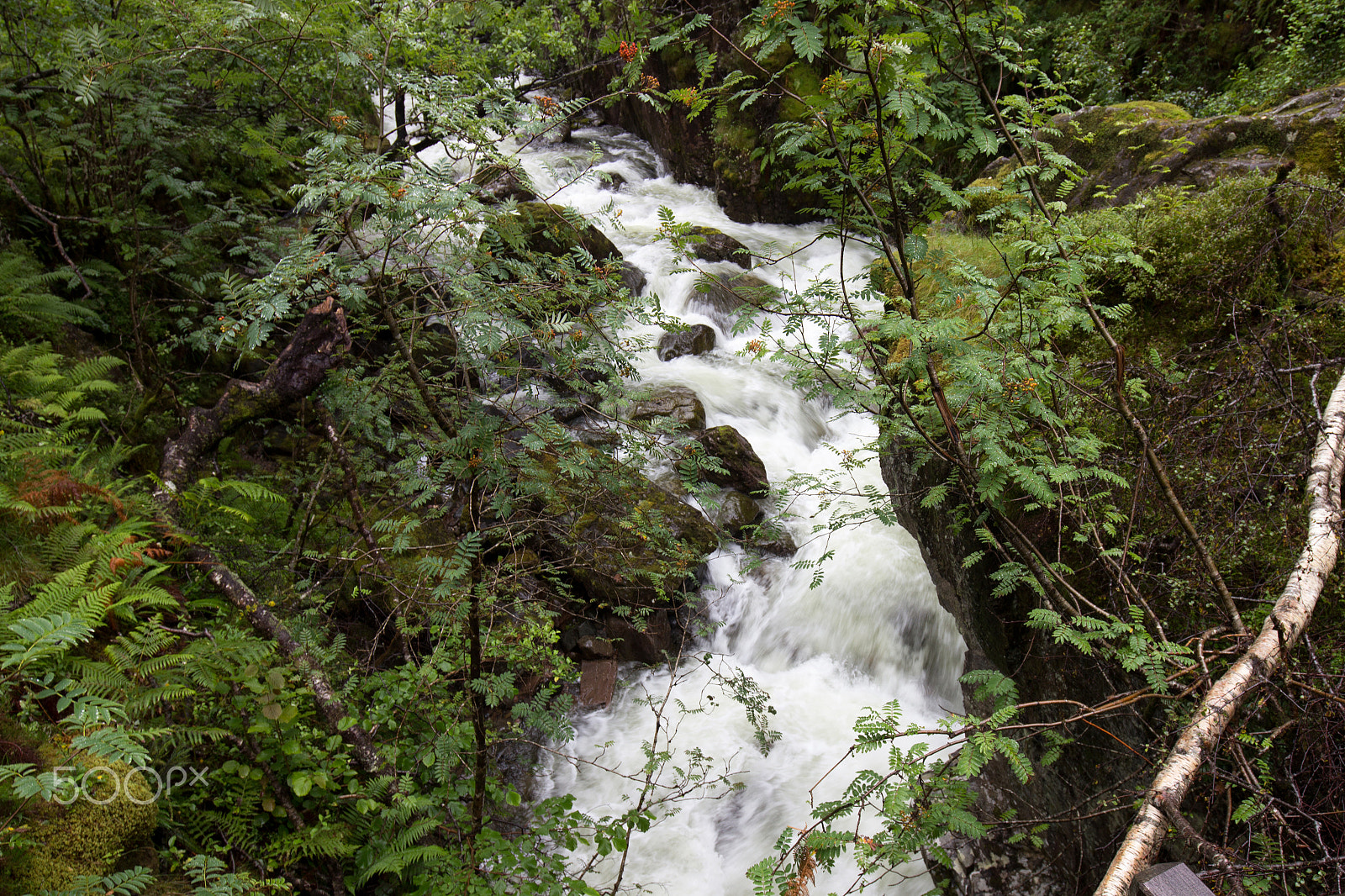 Canon EF 16-35mm F4L IS USM sample photo. Waterfall photography