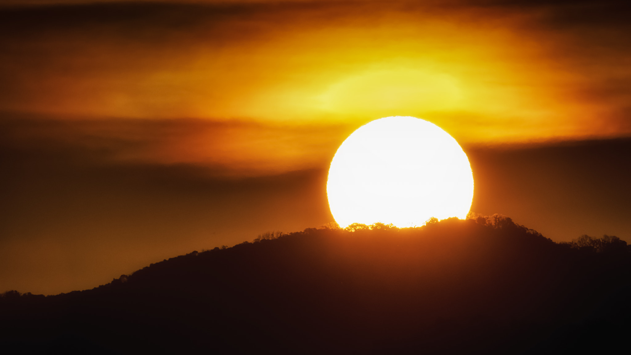 Canon EF 200-400mm F4L IS USM Extender 1.4x sample photo. View from the rooftop photography
