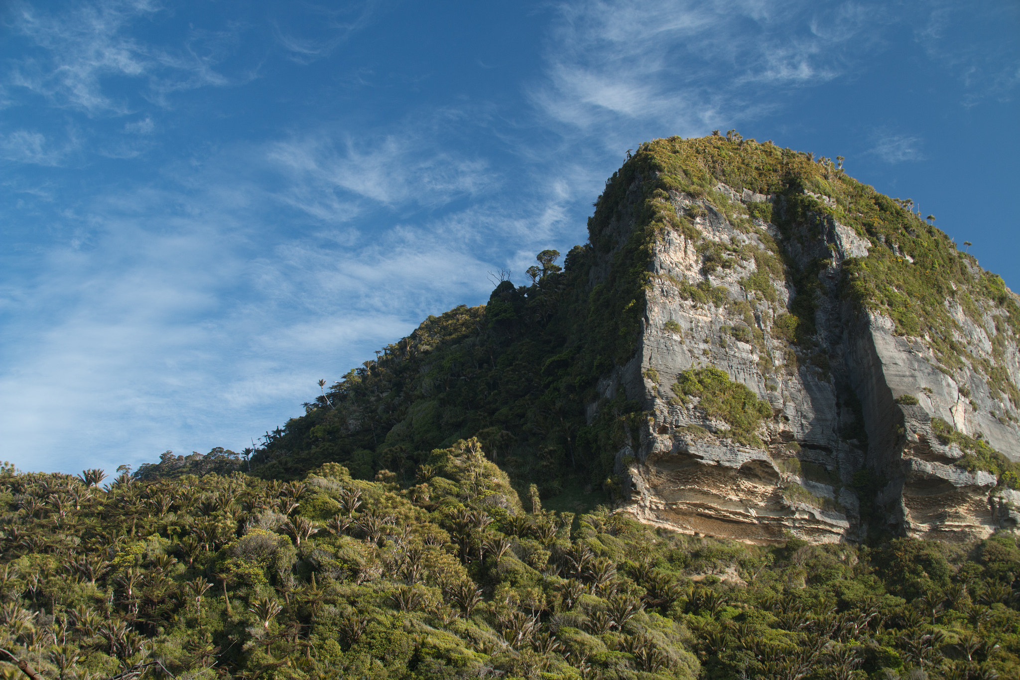 Sigma 30mm F1.4 EX DC HSM sample photo. New zealand mountain photography