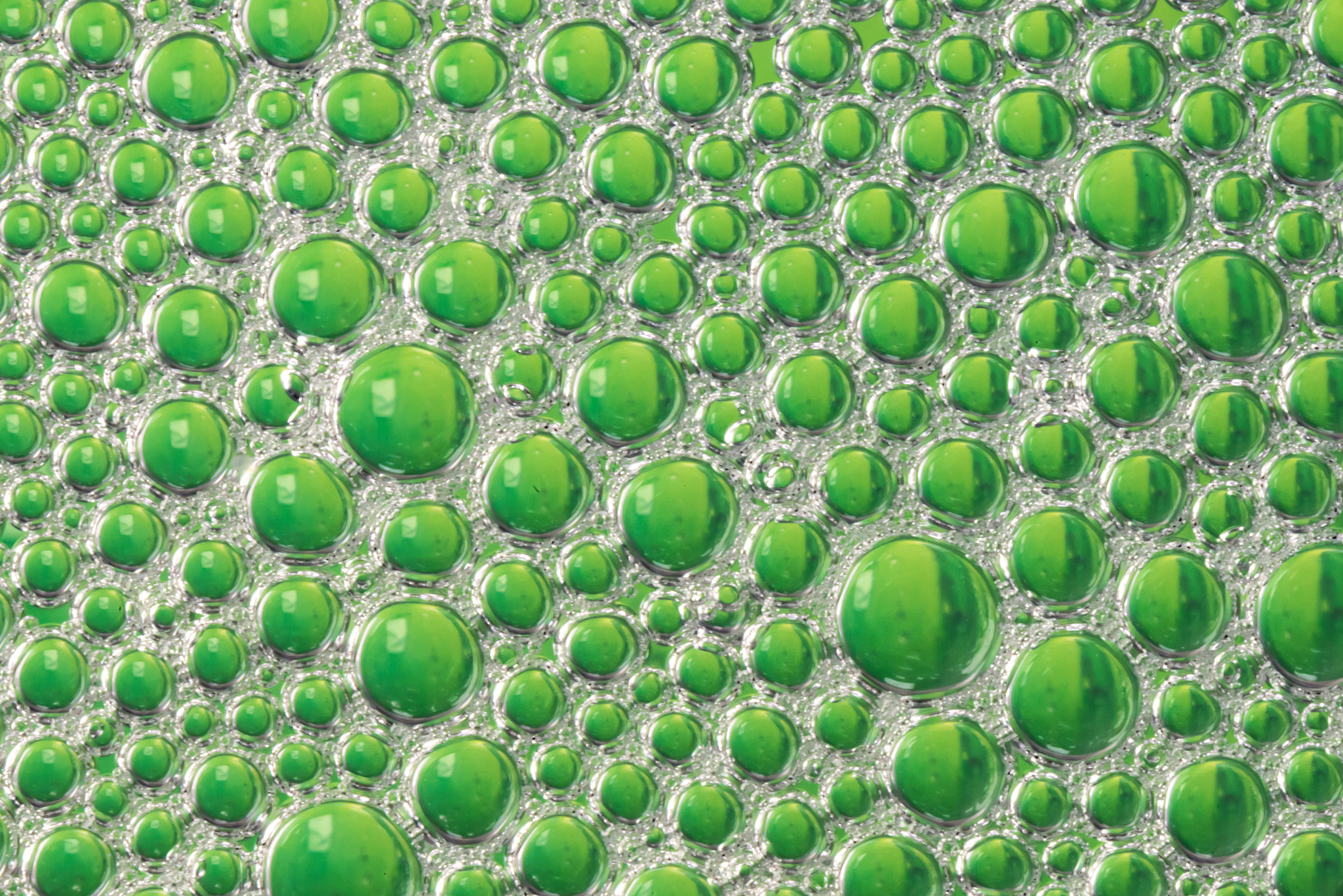 Nikon D610 + AF Micro-Nikkor 105mm f/2.8 sample photo. Green dish soap bubbles photography