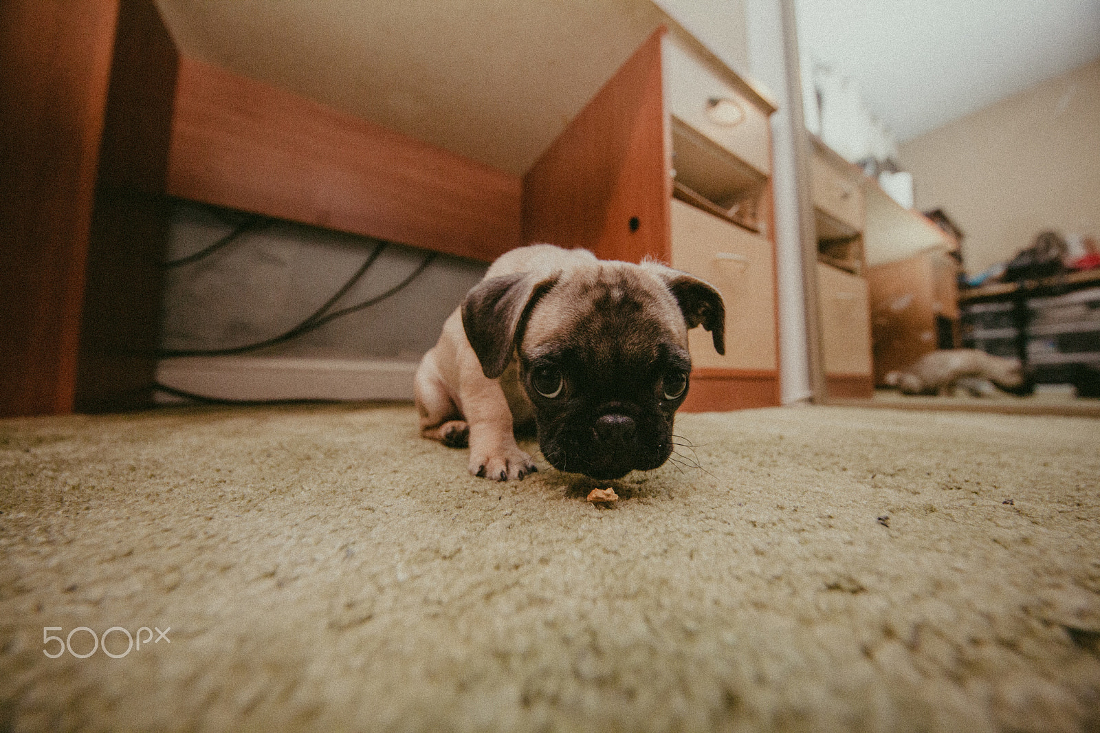 Canon EF 11-24mm F4L USM sample photo. Tucker photography