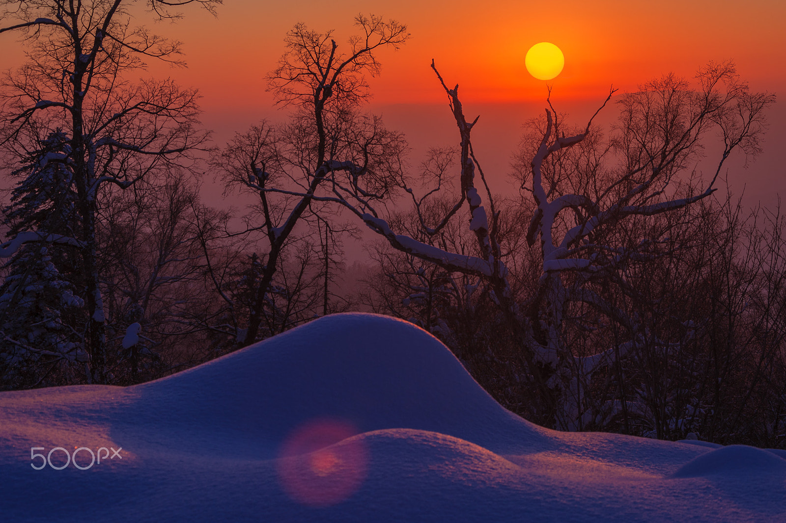 Canon EOS-1Ds Mark II sample photo. 落日映雪 photography