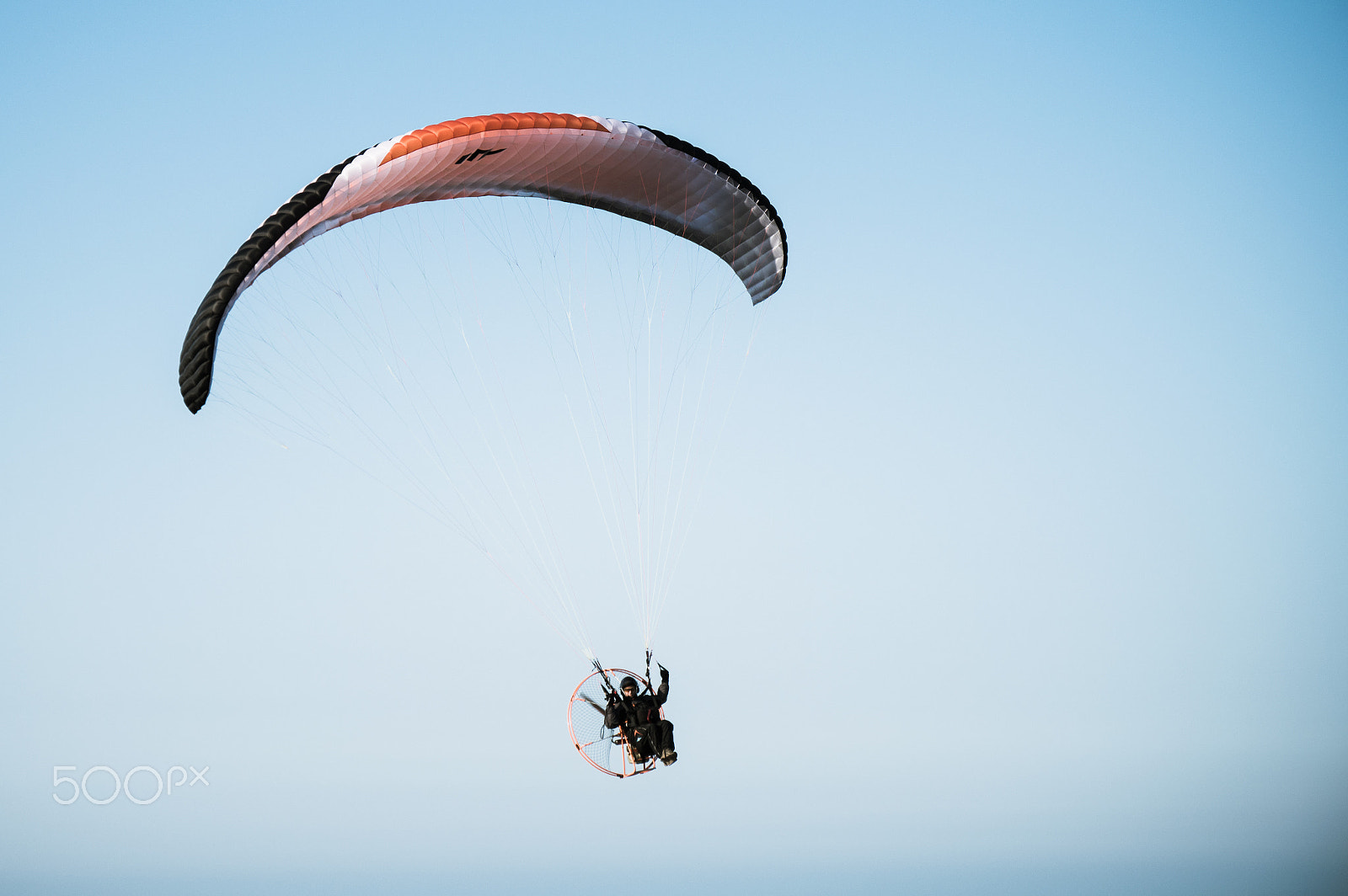 Nikon D3200 sample photo. Fly photography