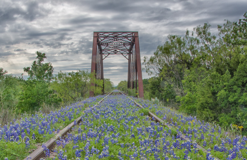 Sigma 17-50mm F2.8 EX DC HSM sample photo. 1903 trestle photography