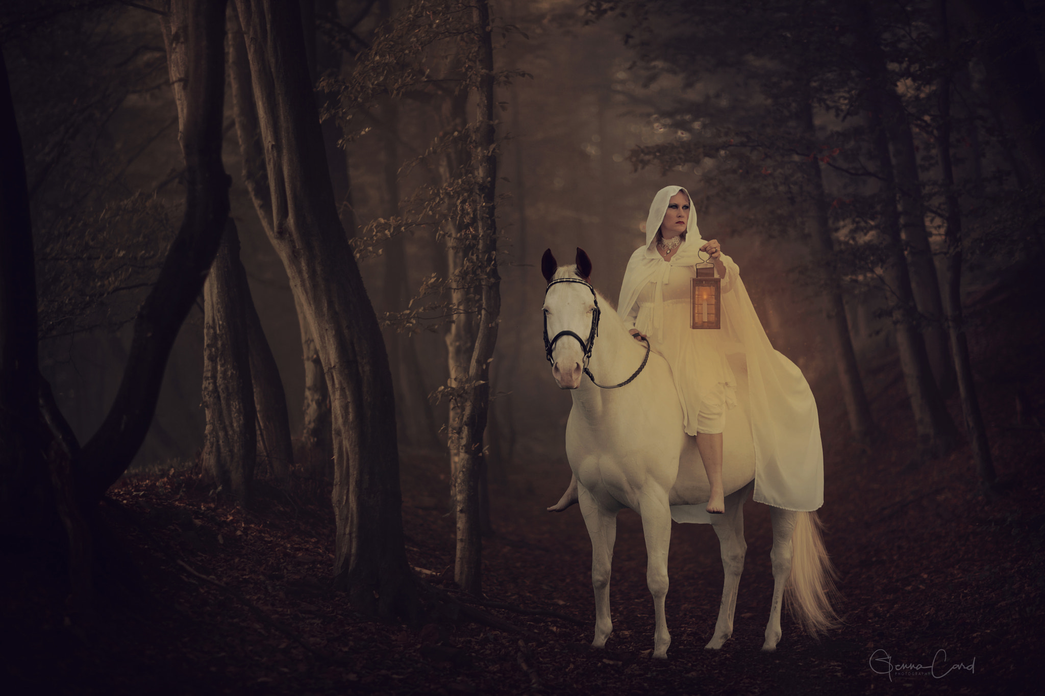 Canon EF 85mm F1.2 sample photo. The enchanted forest photography
