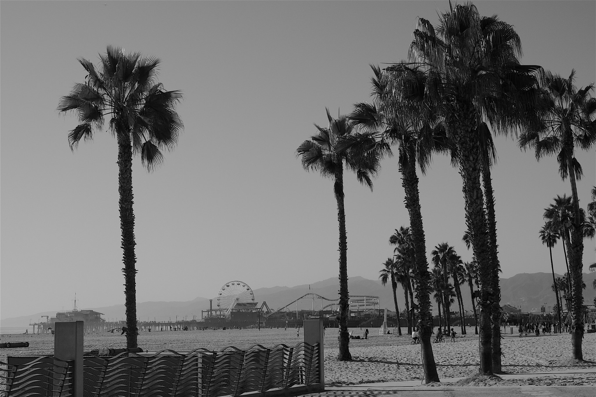 Canon EOS 40D sample photo. Santa monica photography
