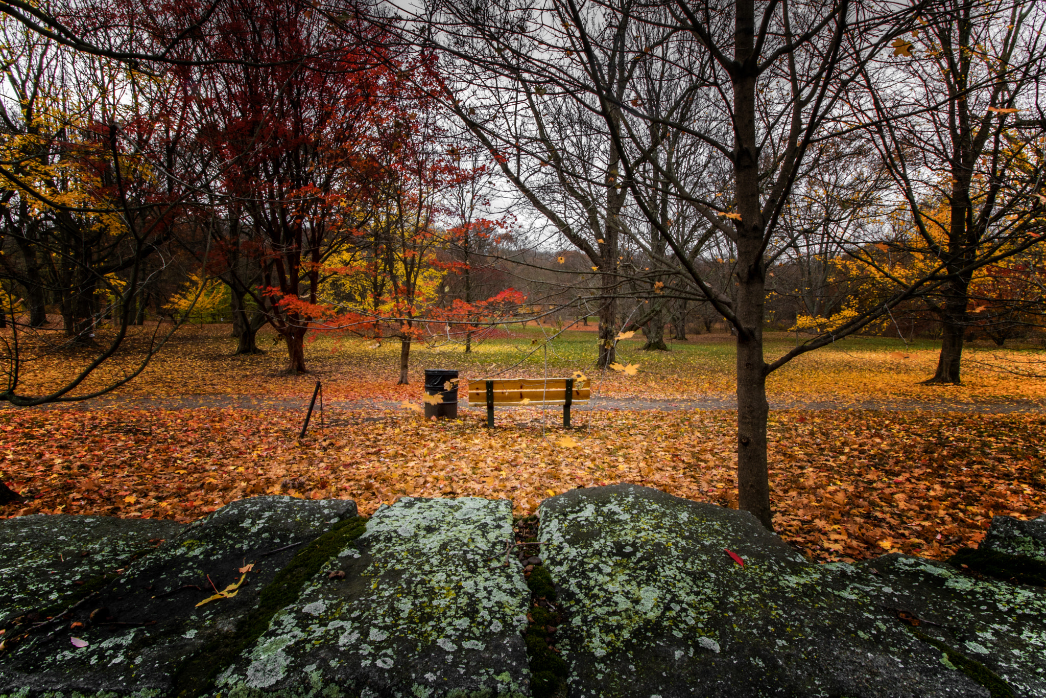 Canon EOS 760D (EOS Rebel T6s / EOS 8000D) sample photo. Bench photography