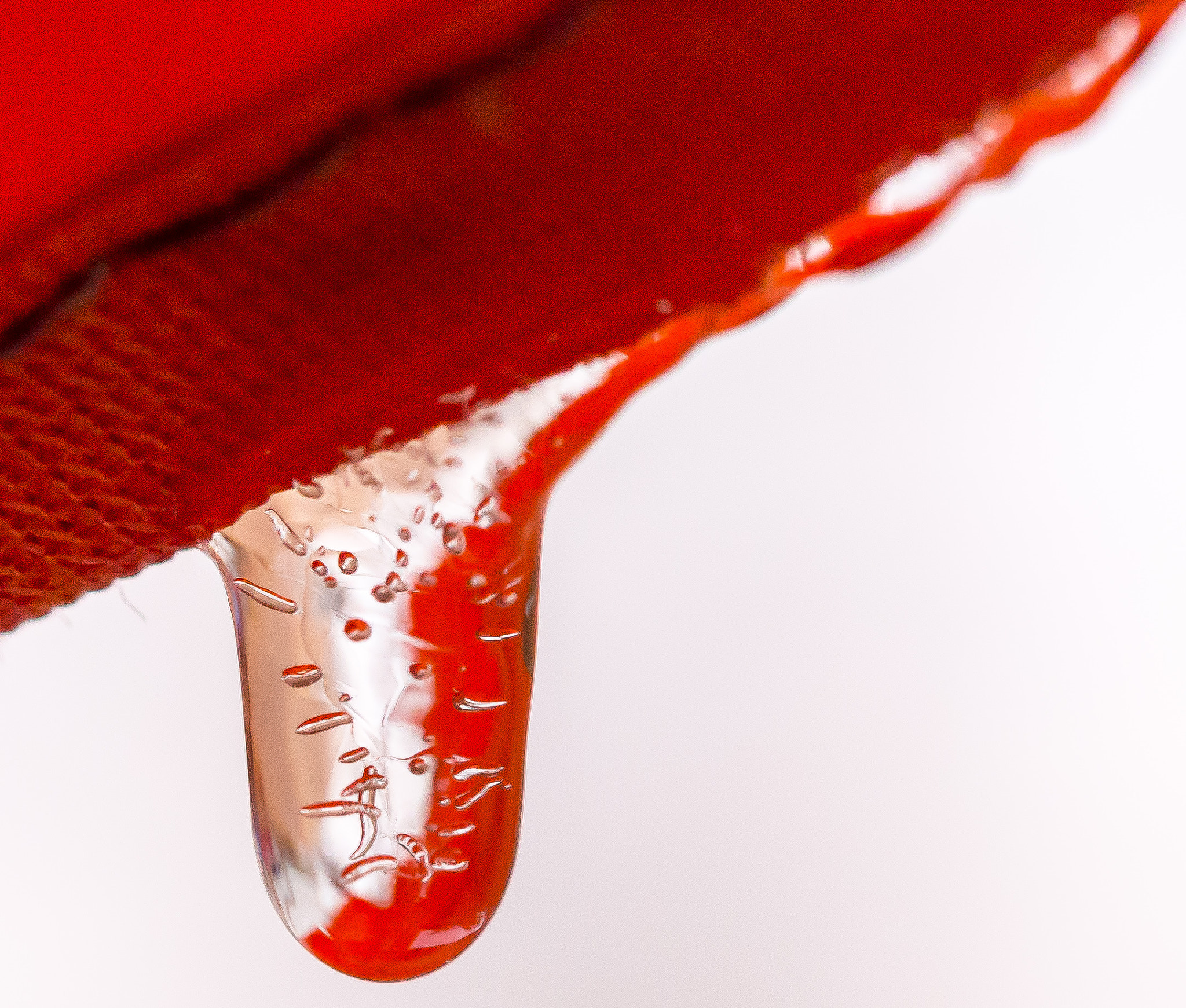 Olympus M.Zuiko Digital ED 60mm F2.8 Macro sample photo. Crimson on ice photography