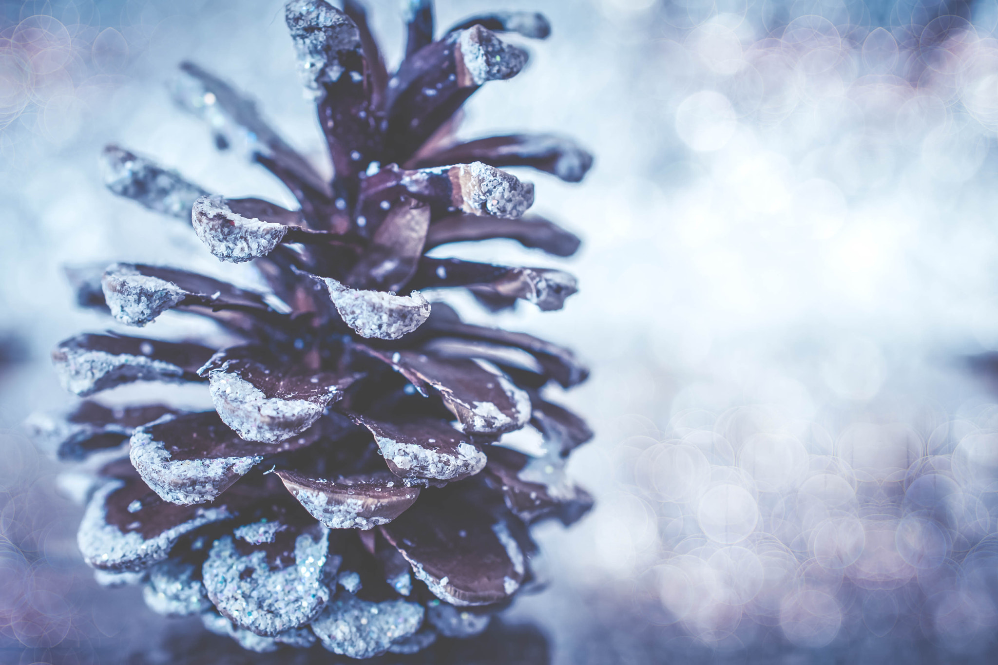 Nikon AF-S DX Micro Nikkor 40mm F2.8 sample photo. Pine cone smells of christmas. photography