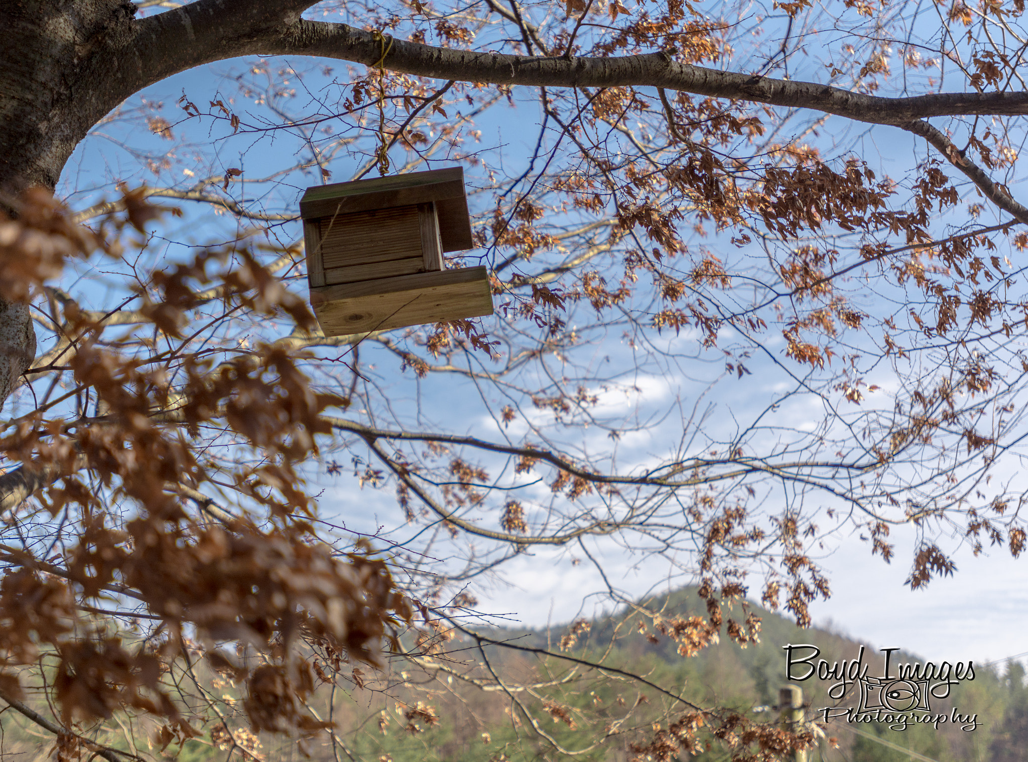 Nikon AF-S Nikkor 17-35mm F2.8D ED-IF sample photo. Lonely birdhouse photography