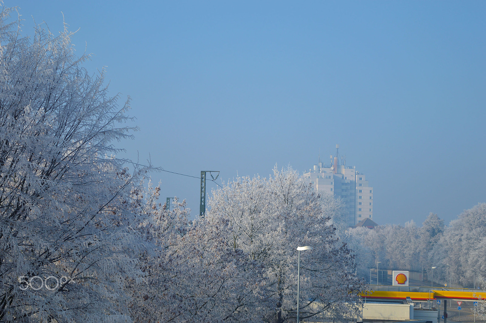 Nikon D3200 + Sigma 18-200mm F3.5-6.3 II DC OS HSM sample photo. Frozen trees photography