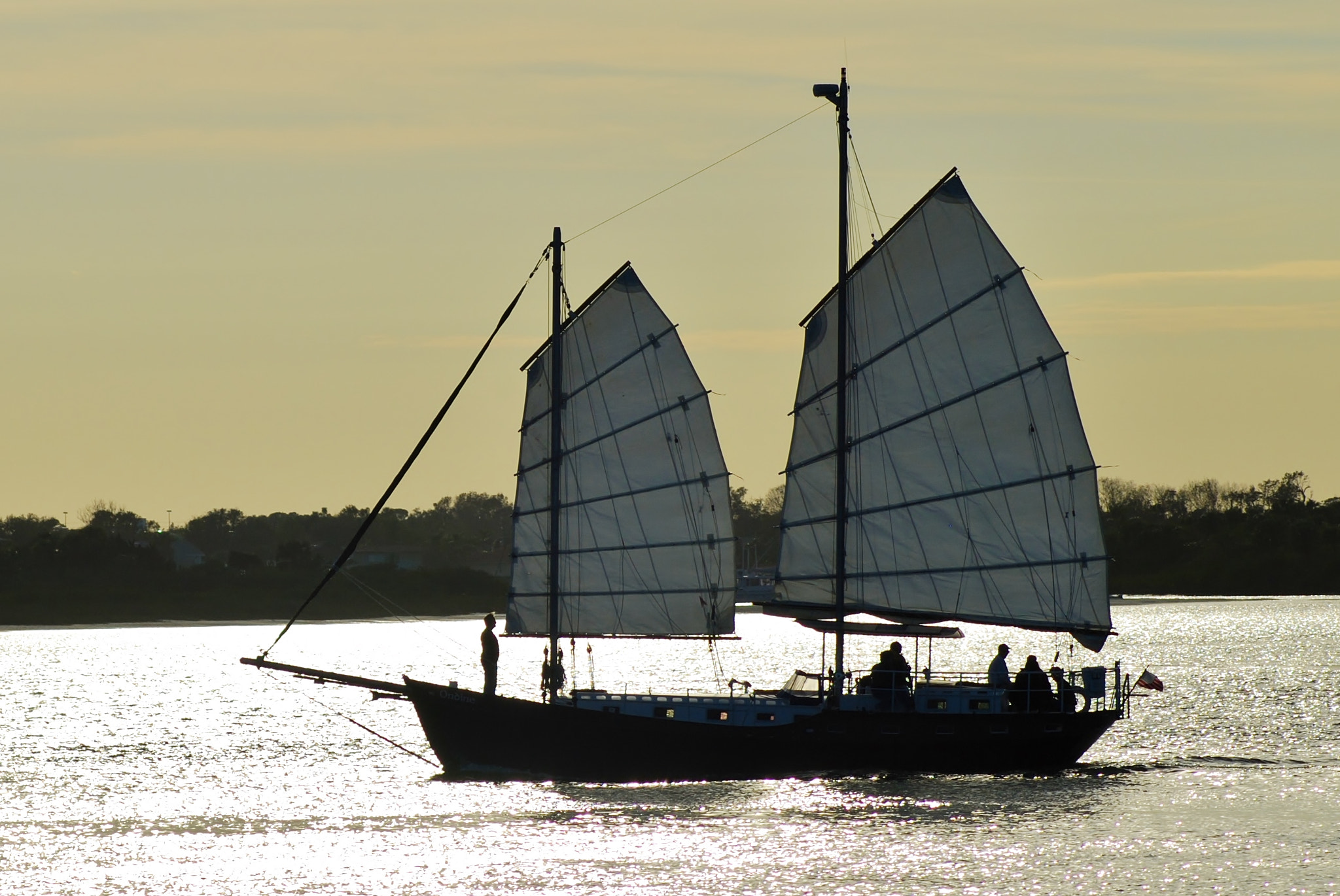 AF Zoom-Nikkor 75-300mm f/4.5-5.6 sample photo. Junk in the wind photography