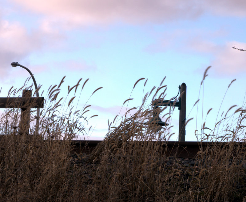 Nikon D3200 sample photo. Winter sky photography