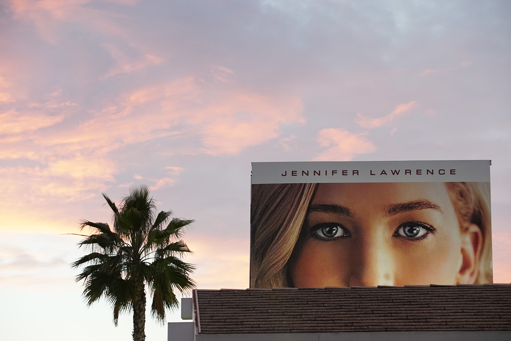 Sony a7S II sample photo. Jennifer is always watching. photography